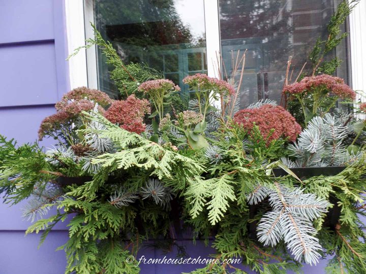 A winter window box made in a hay rack