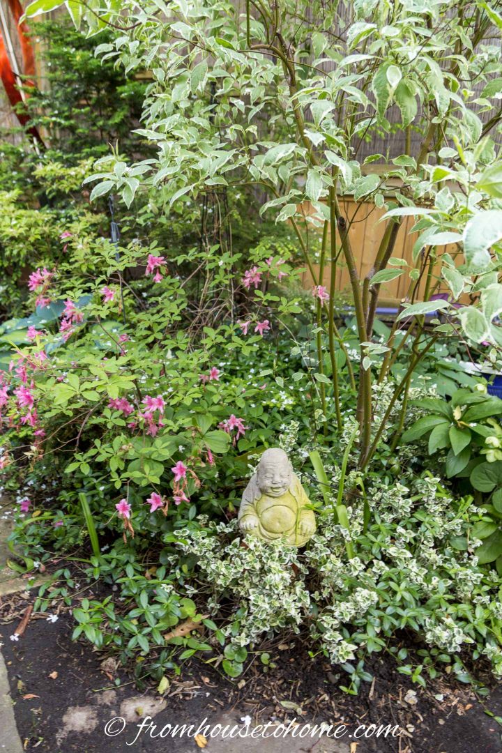 Buddha statue with a dogwood tree and Azalea in a small shade garden bed