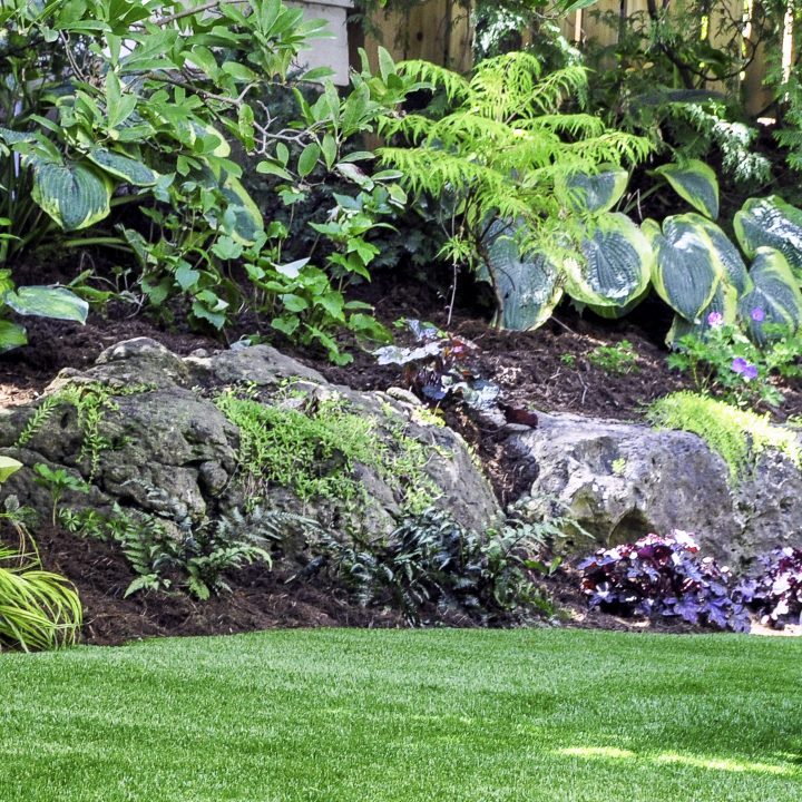 Hillside shade garden with large boulders, ferns and Hostas ©Joanne Dale - stock.adobe.com