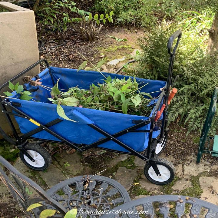 fold-up garden cart with weeds in it
