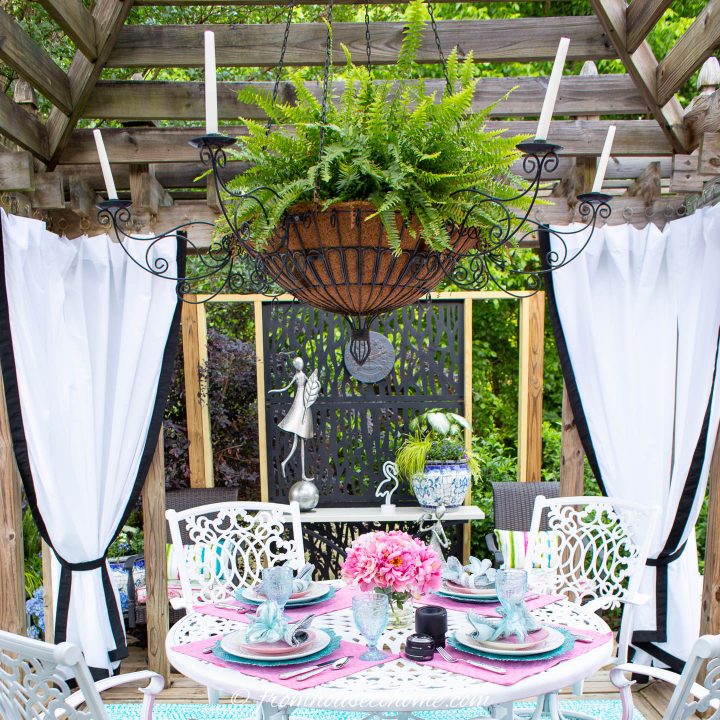 Boston fern hung above an outdoor dining table