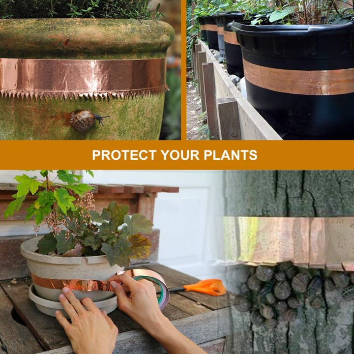 Containers wrapped with copper tape to prevent slugs