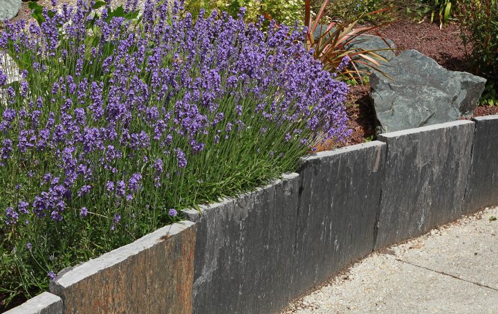 Slate tiles used as edging around a garden bed
