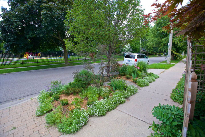A city boulevard with a garden and a bench under the tree