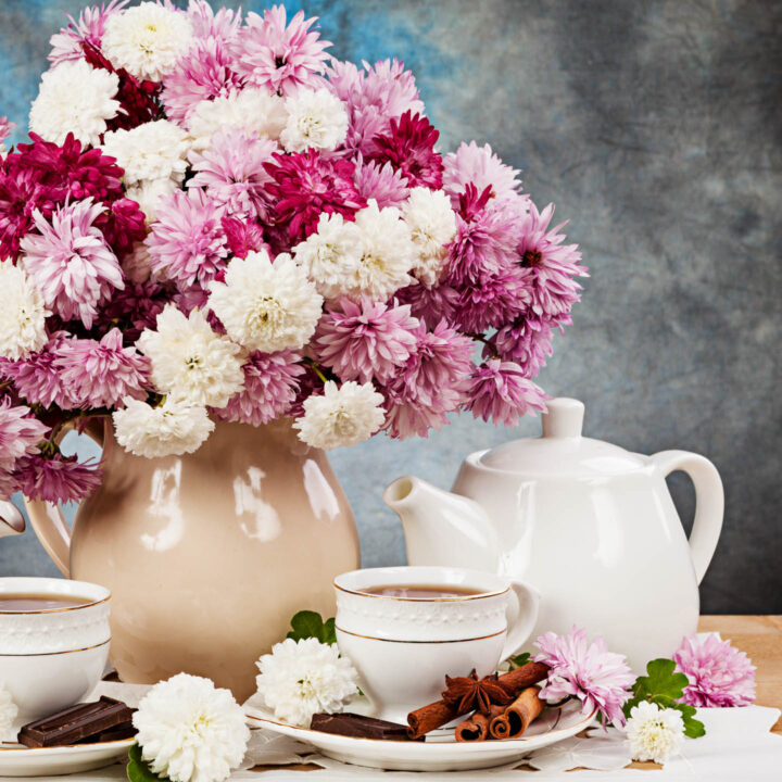 Pink and white Chrysanthemums in a vase on a table with a tea pot and 2 tea cups