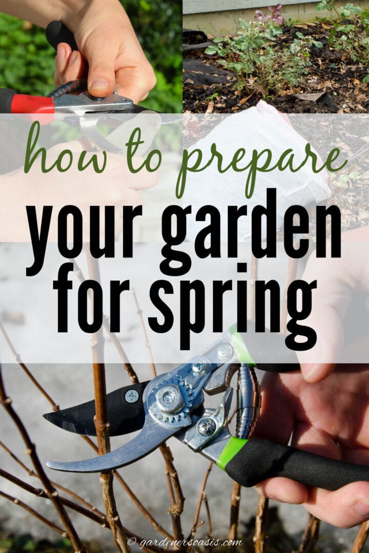 how to prepare your garden for spring