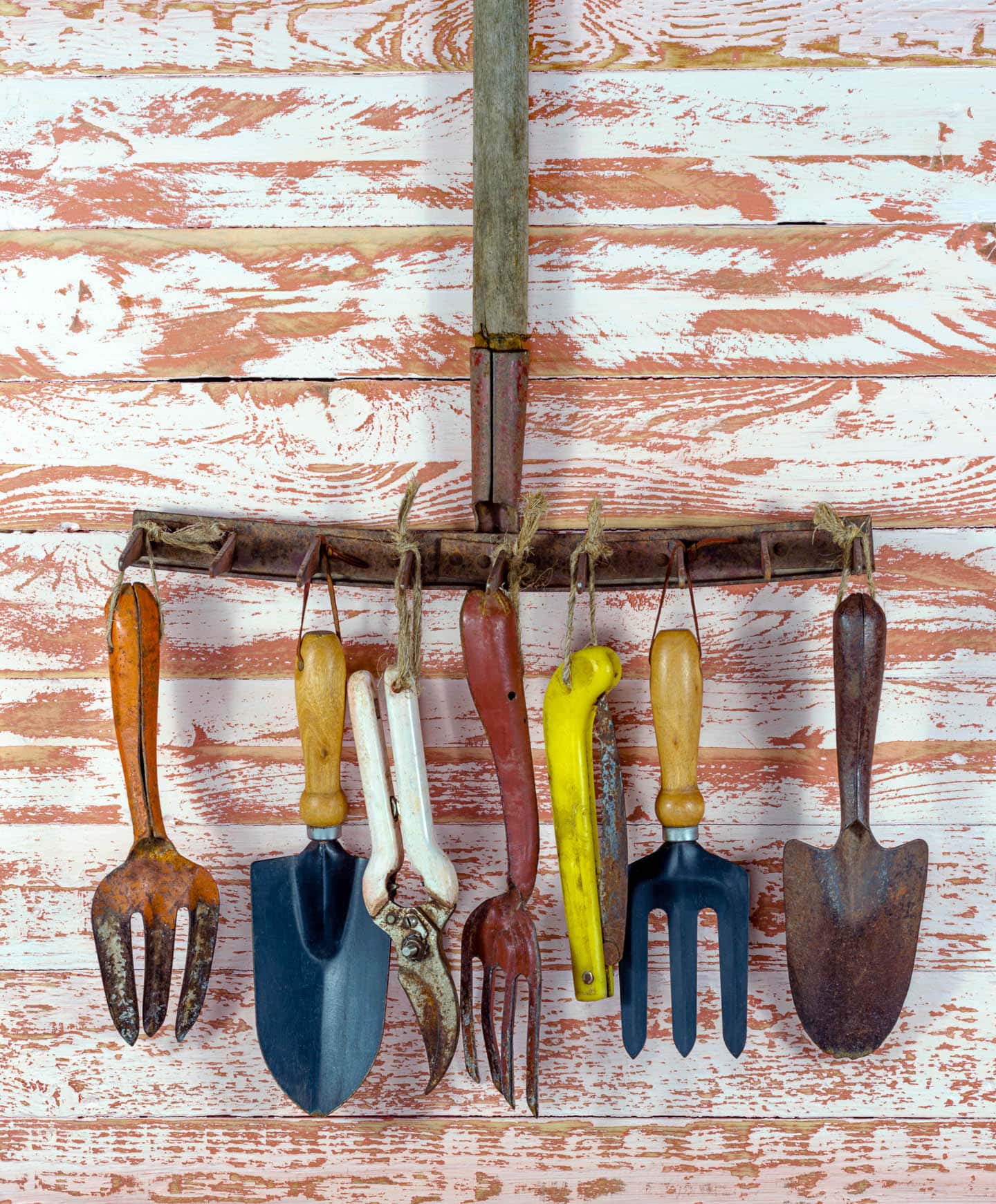 Gardening hand tools hung from the tines of a rake on a shed wall