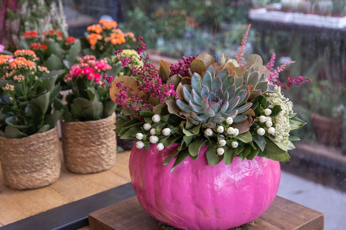 Faux pink pumpkin with succulents planted in it
