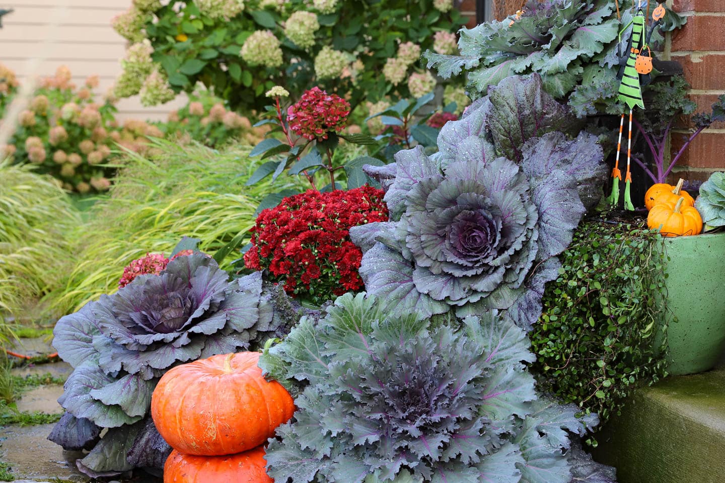 Front porch steps lined with large ornamental cabbage pumpkins and mums