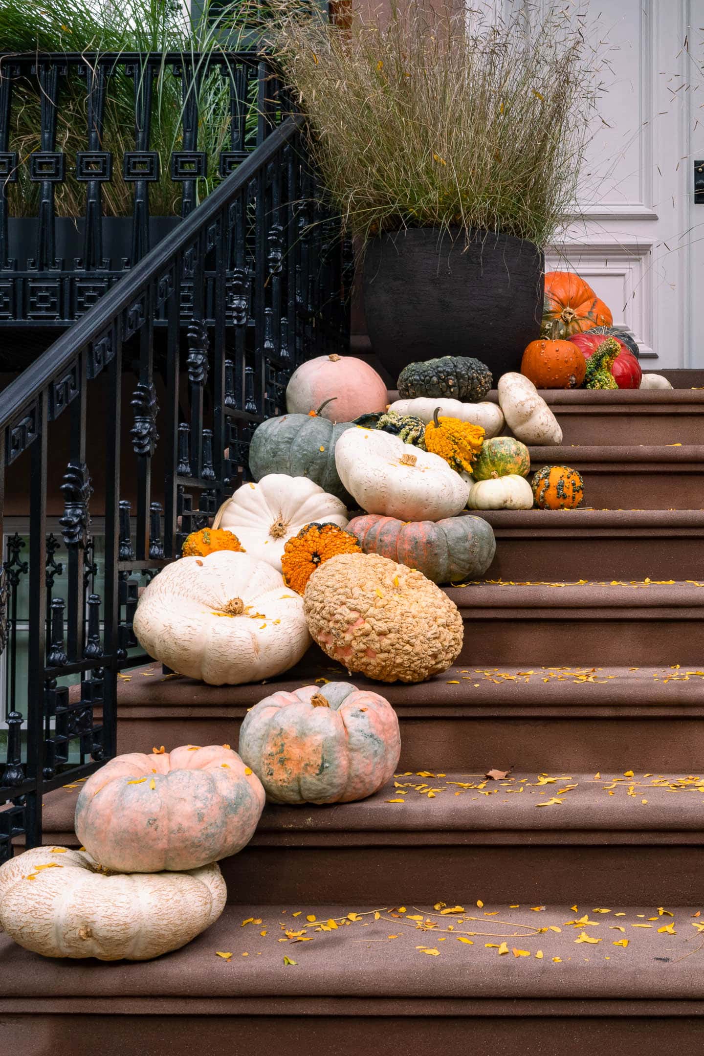 Planter filled with grasses at the top of the front porch stairs with a large collection of different sized pumpkins leading up to it
