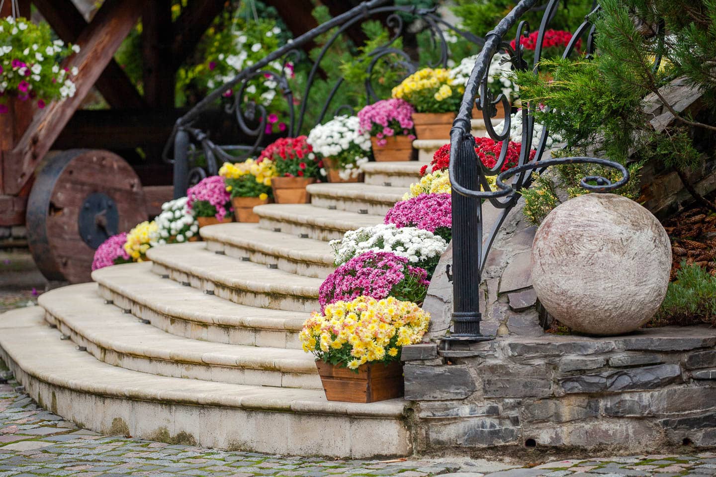 Mums in orange, purple and white lining the steps