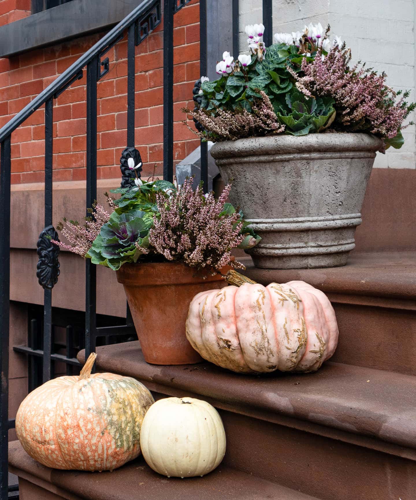 Front porch stairs lined with pink pumpkins and fall containers planted with scotch heather, cyclamen and ornamental kale