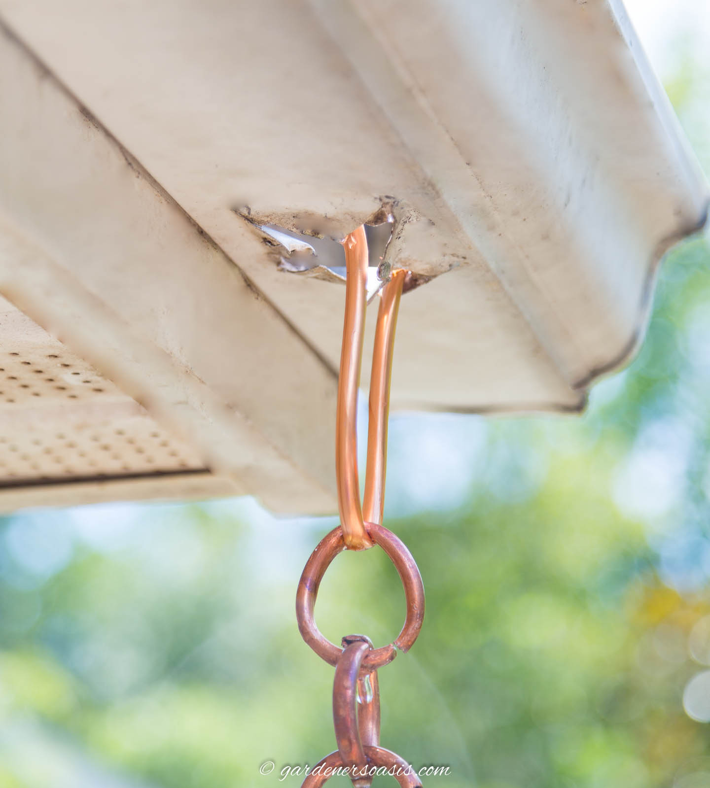 close up of a copper link rain chain hanging from a gutter with a v-hook gutter attachment