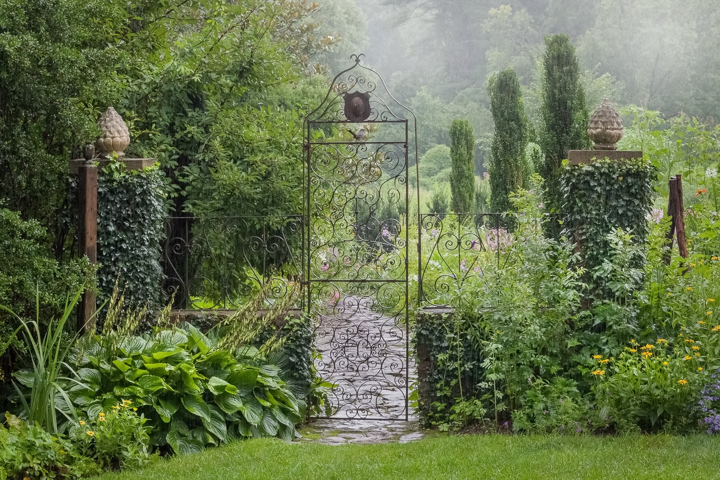 A garden gate in front of a stone path on a rainy day.