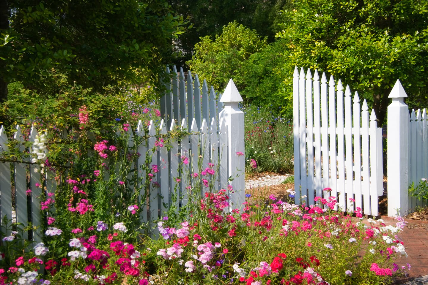 A white picket fence and gate in a garden with flowers.