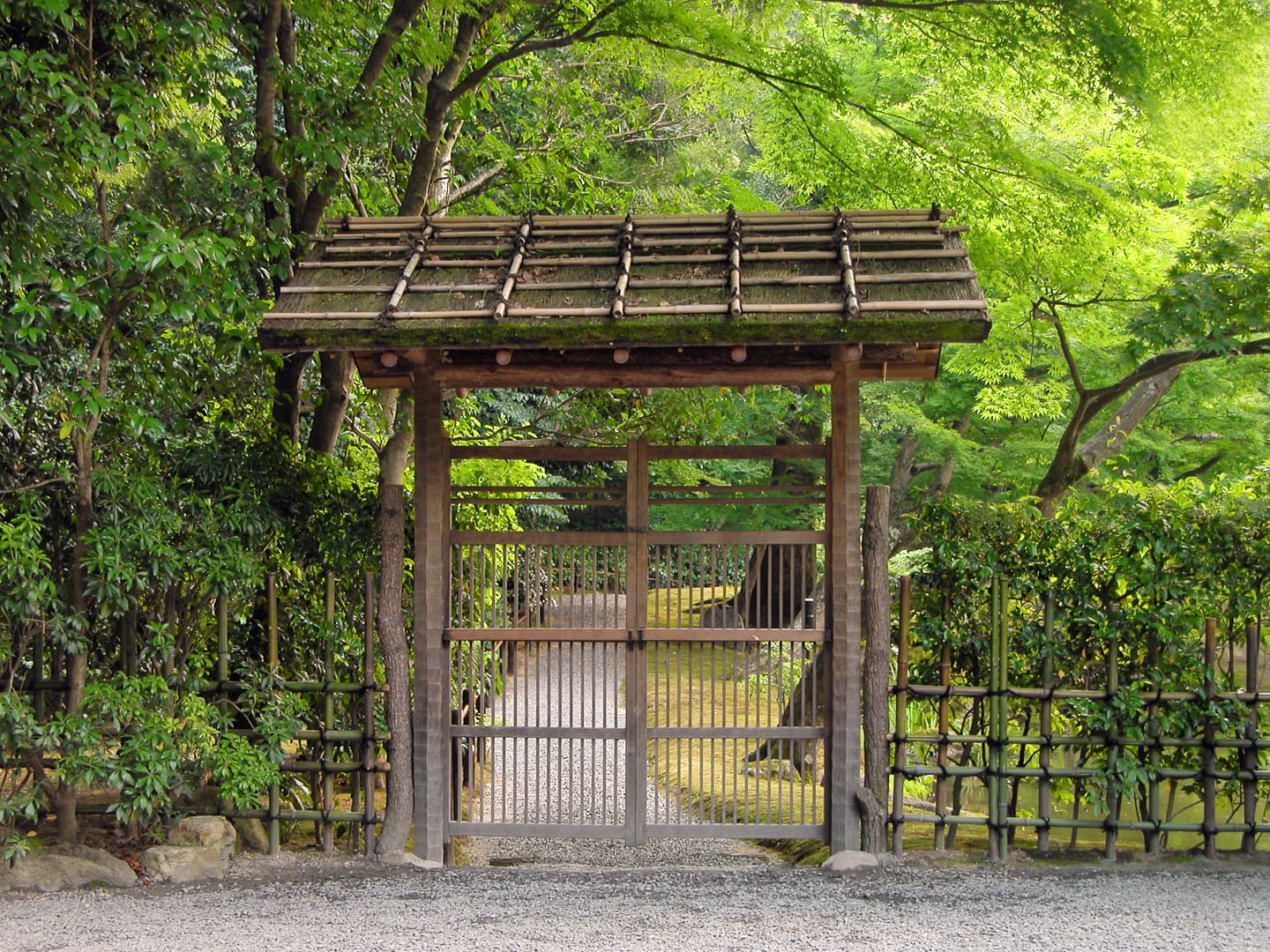 A wooden gate leading into a garden.