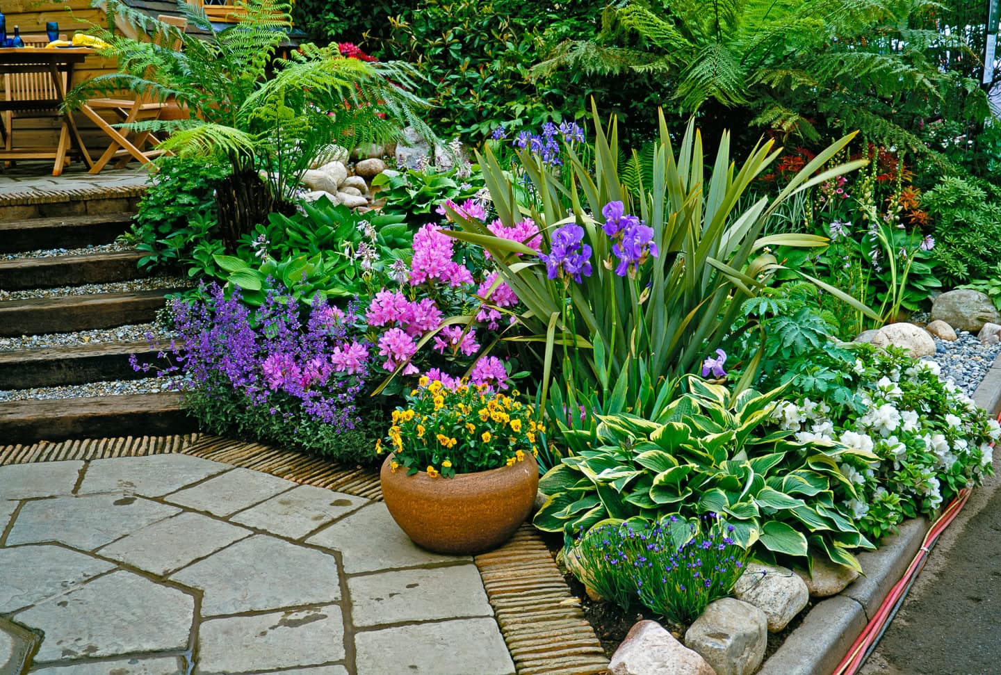 A pot of yellow pansies provides contrast with purple and pink perennial flowers