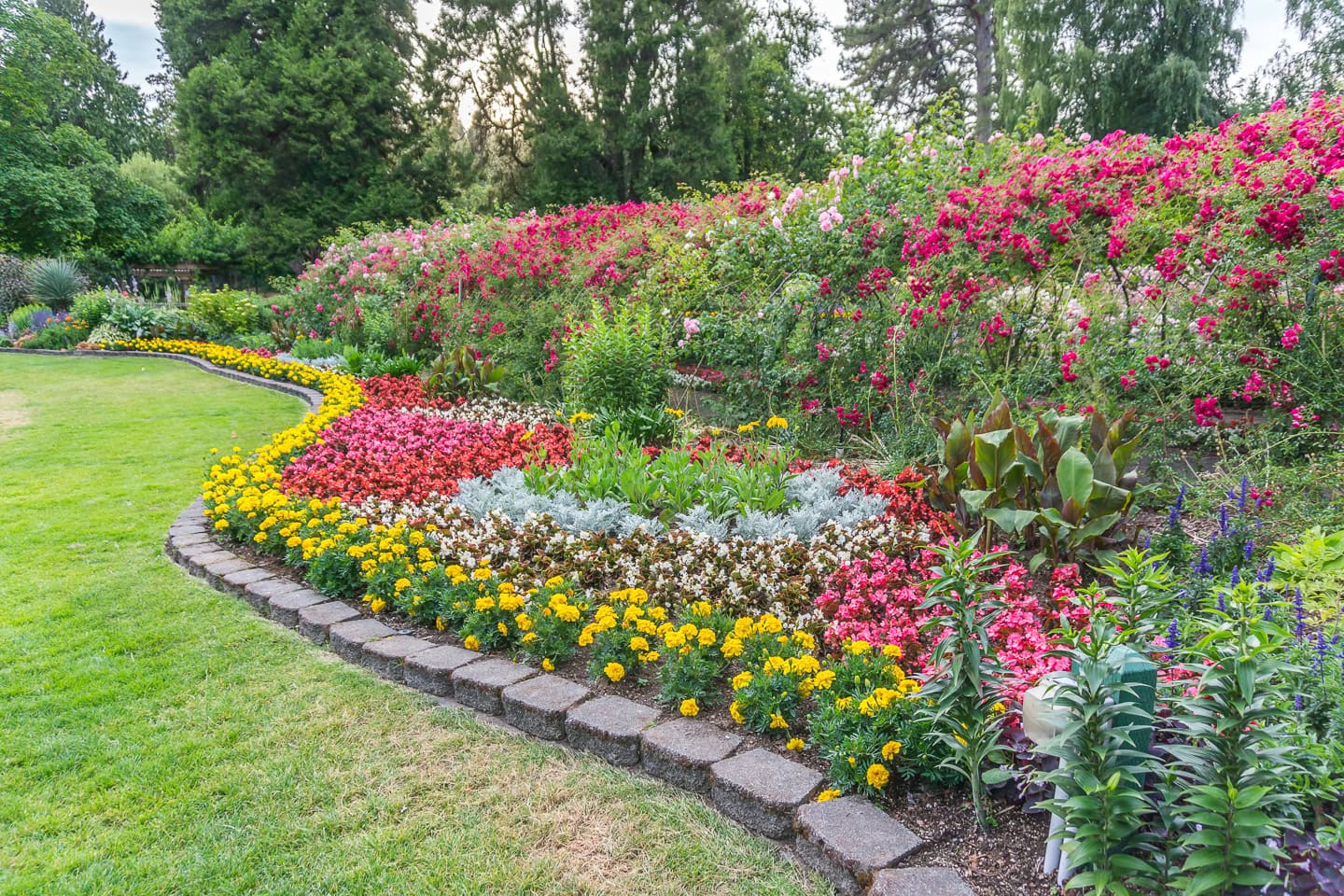 a wave design in the garden created with annuals