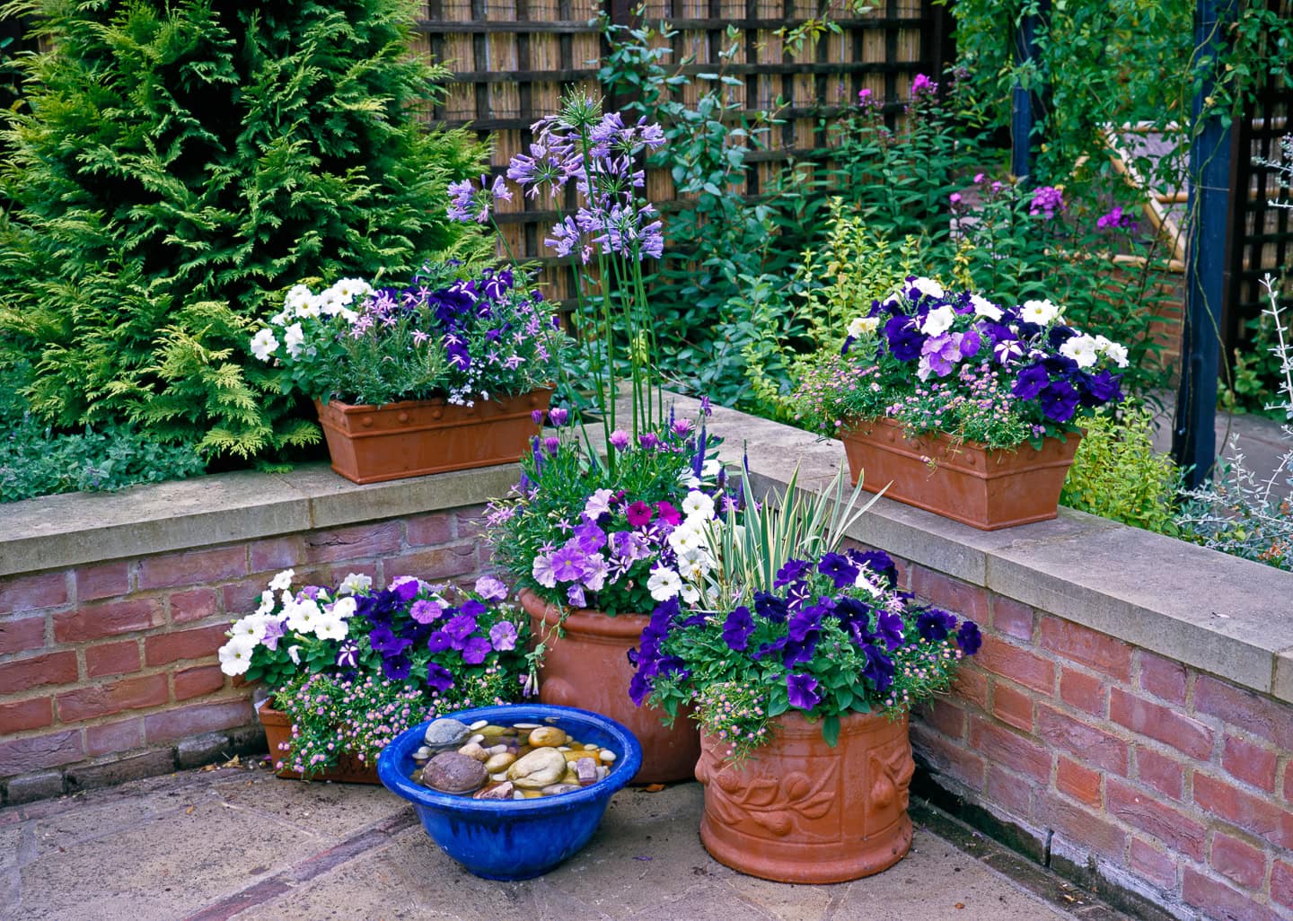 Containers of different heights filled with purple and white annuals in the corner of a patio