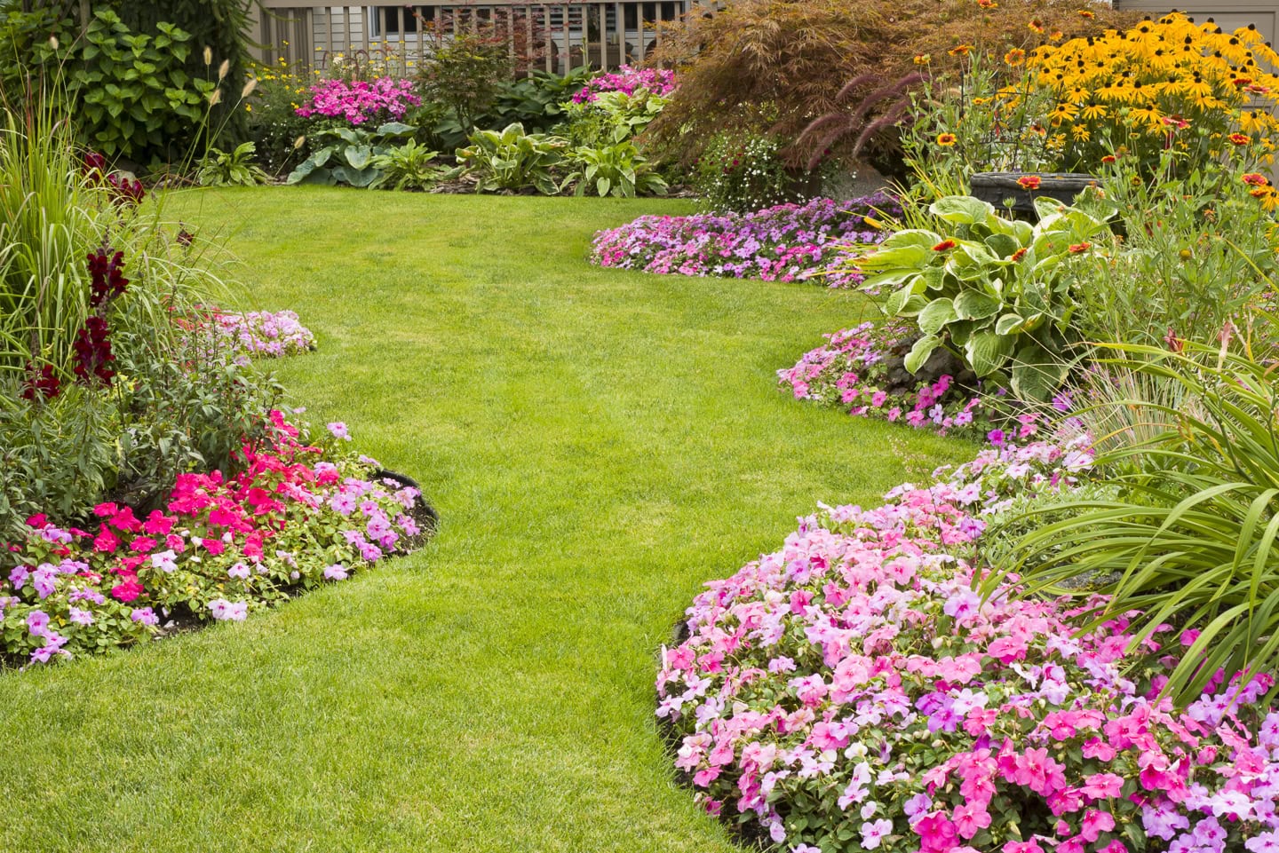 impatiens used as edging in a shady garden