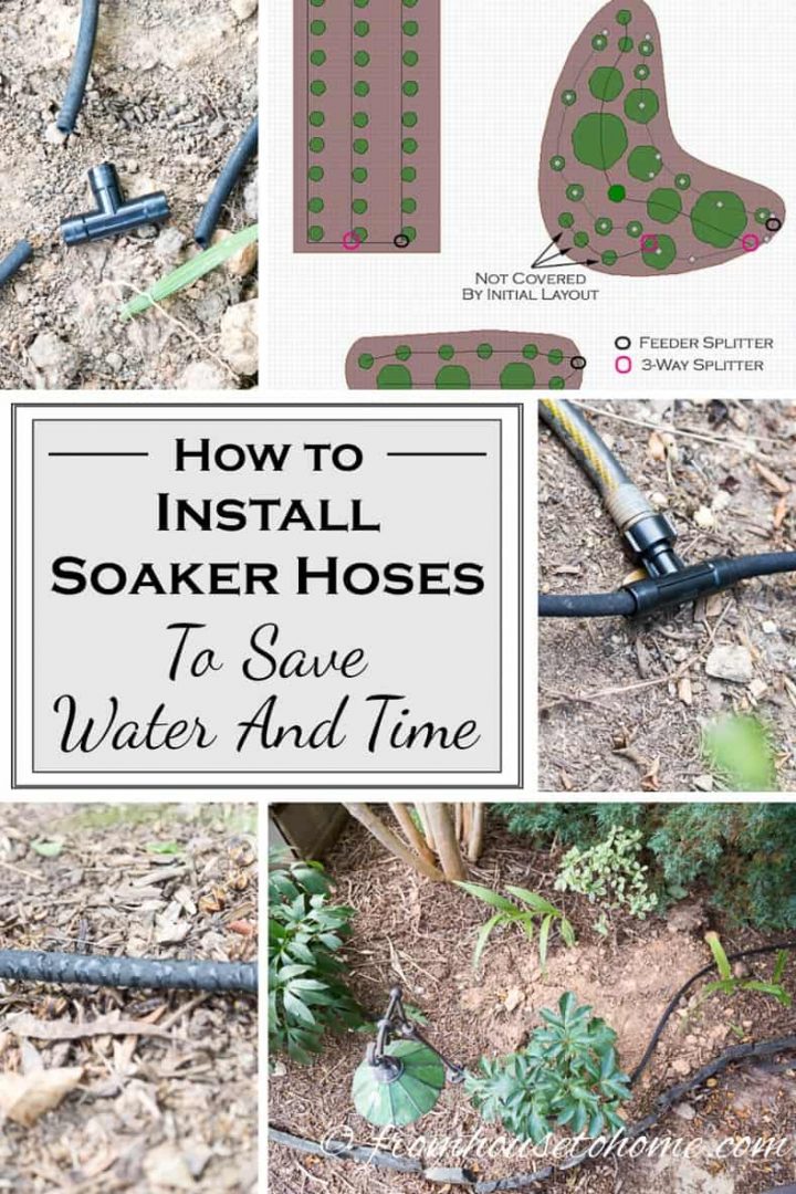How to install soaker hoses to save water and time