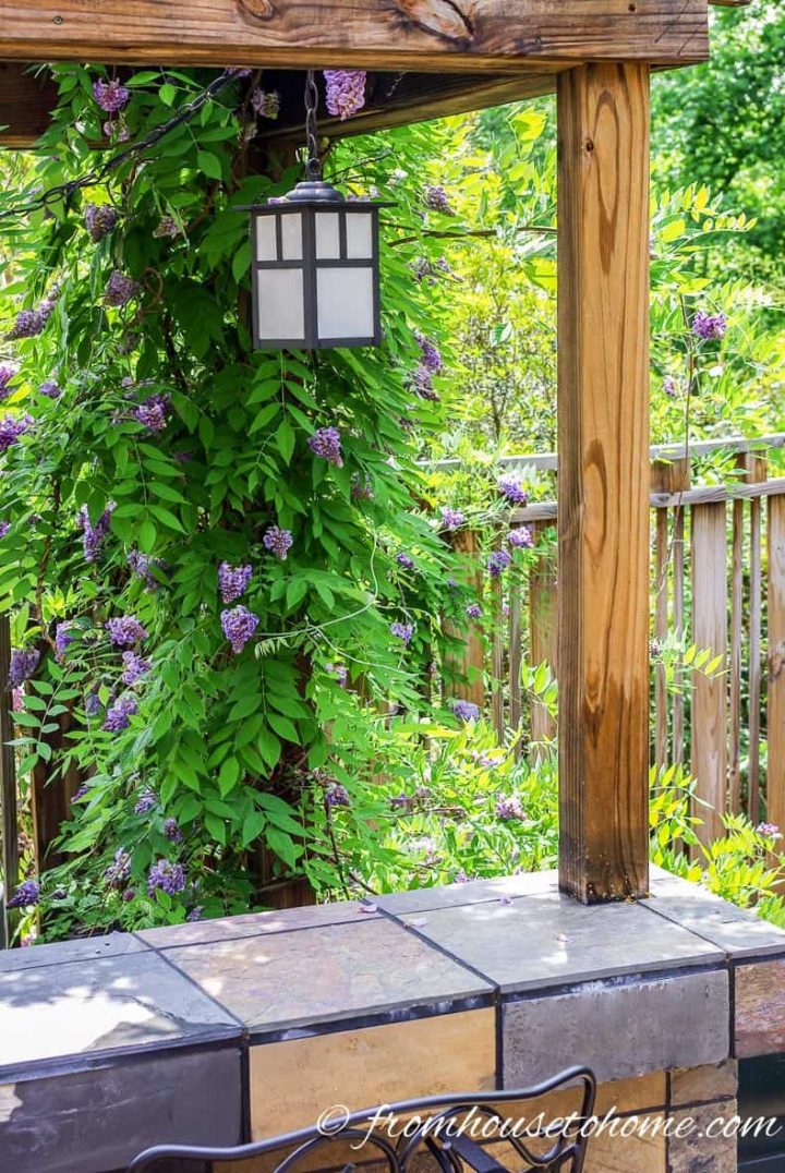An outdoor pendant light