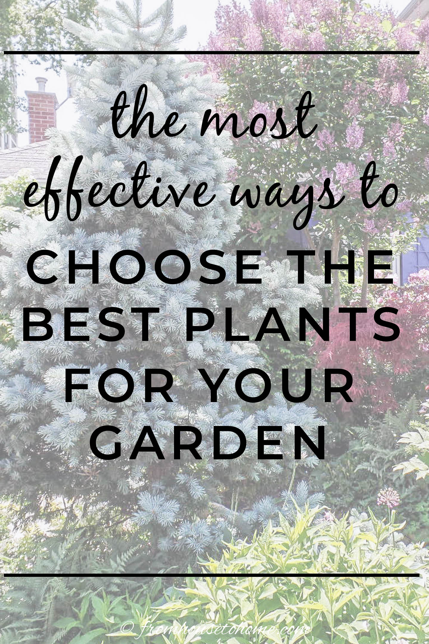 How To Choose The Best Plants For Your Garden