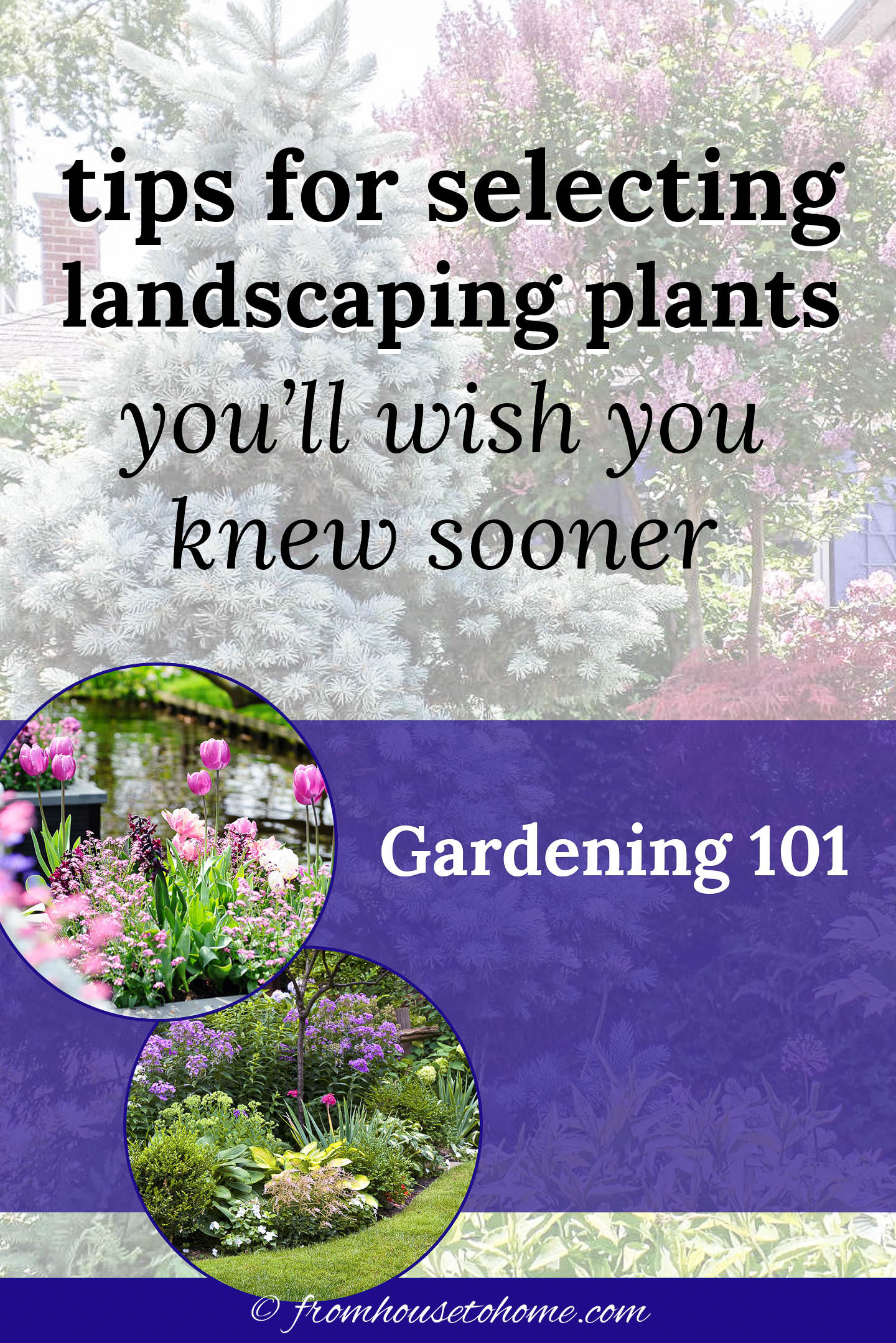 How To Choose The Best Plants For Your Garden