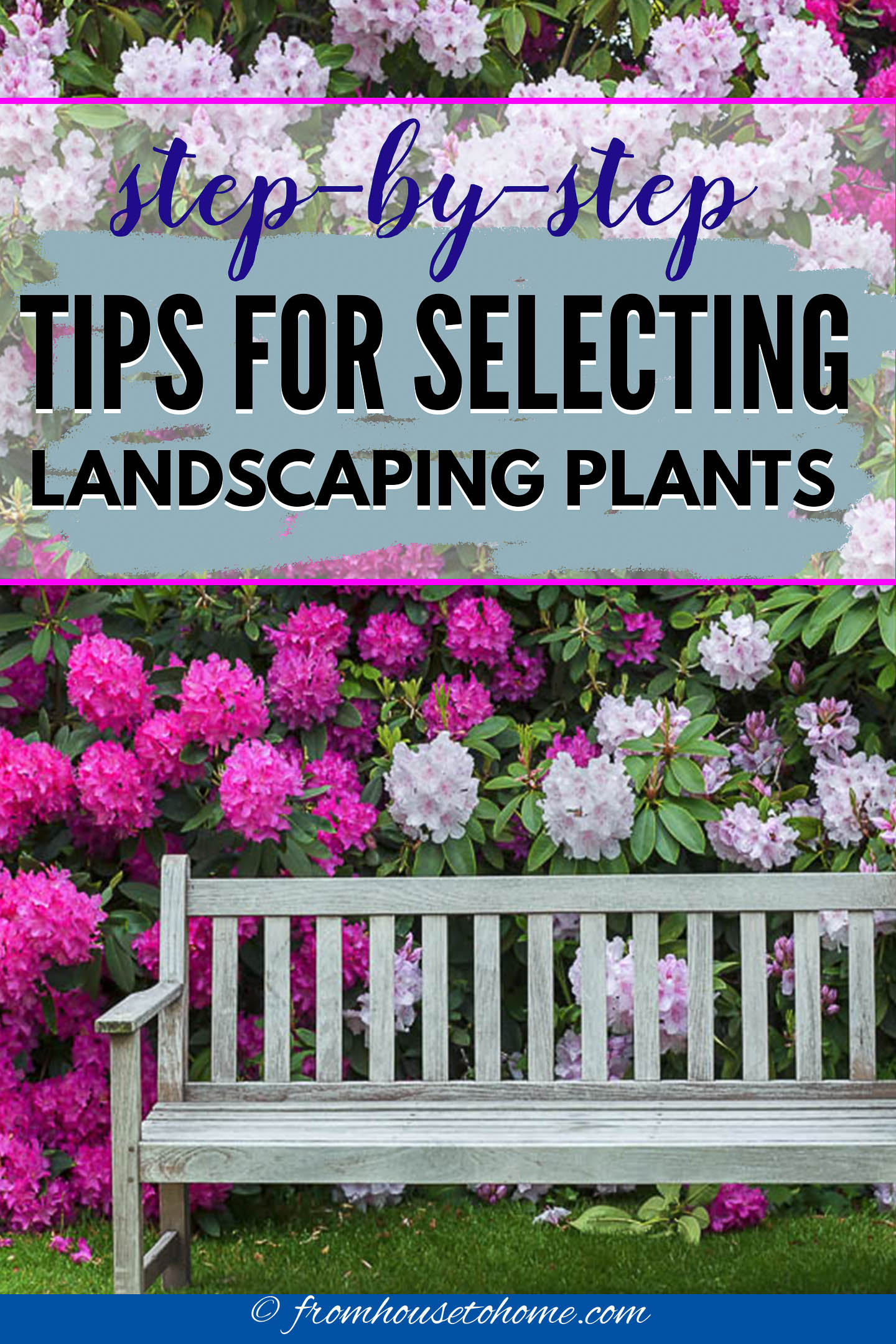 How To Choose The Best Plants For Your Garden