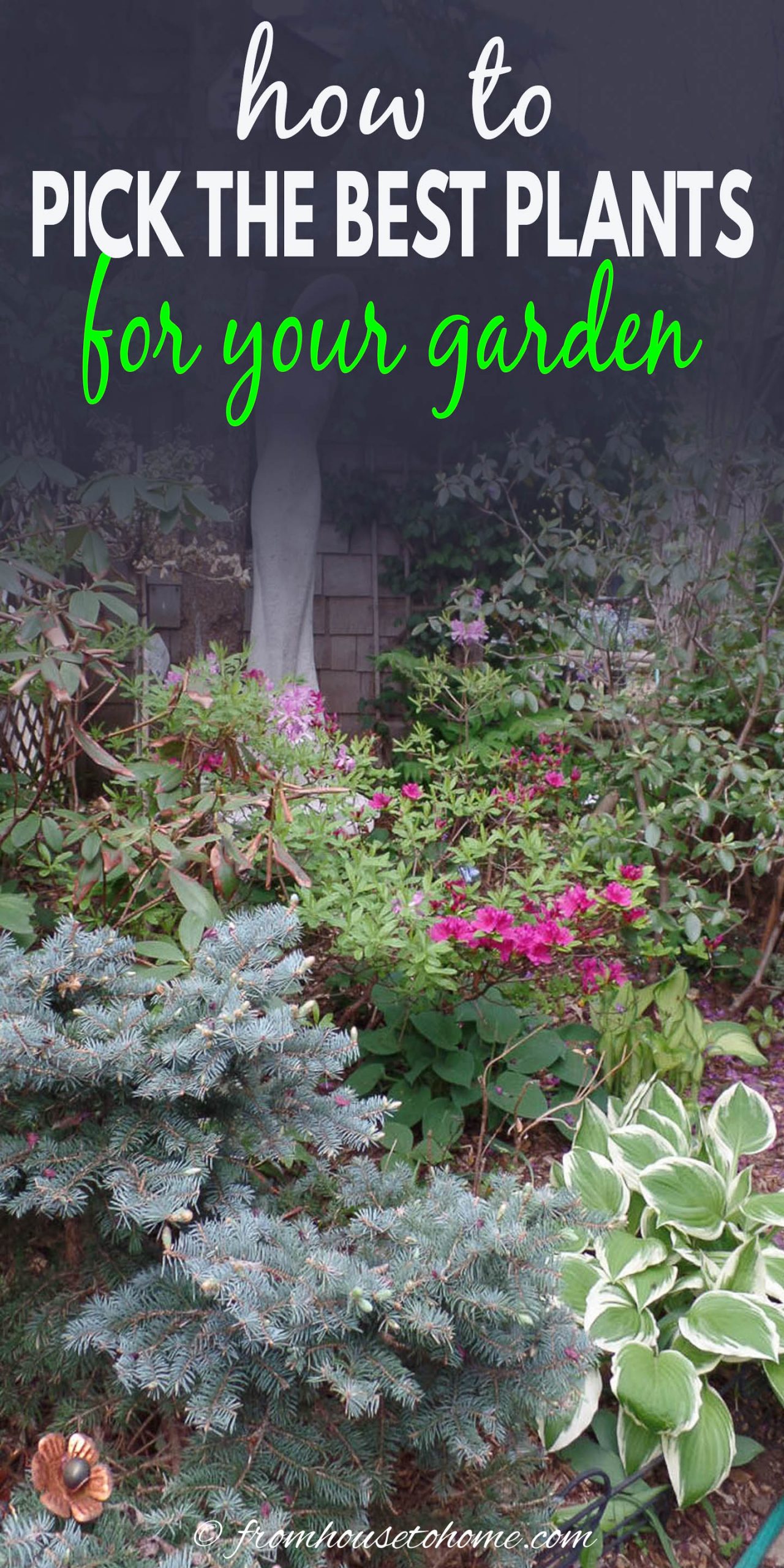 How To Choose The Best Plants For Your Garden