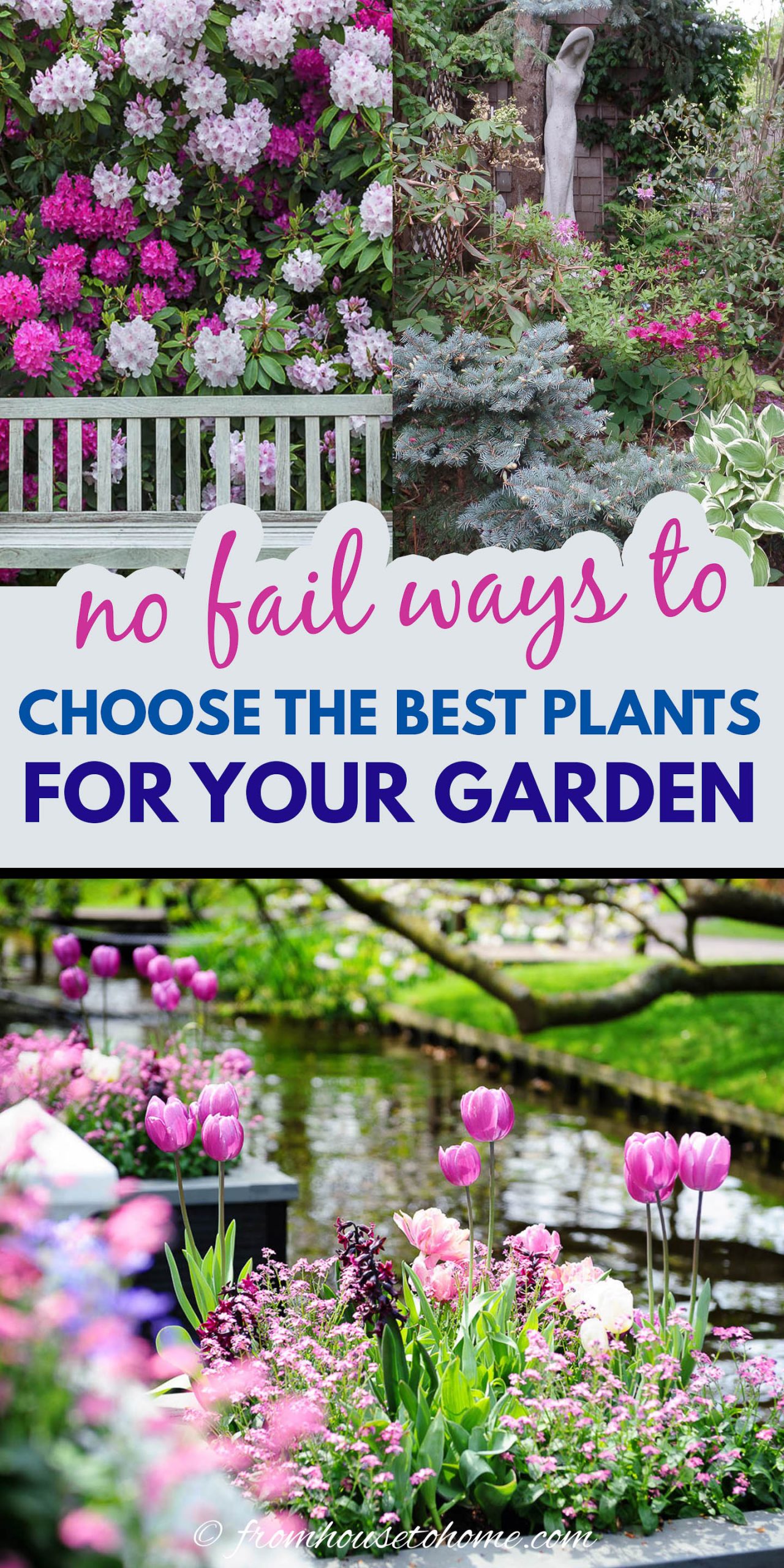 How To Choose The Best Plants For Your Garden