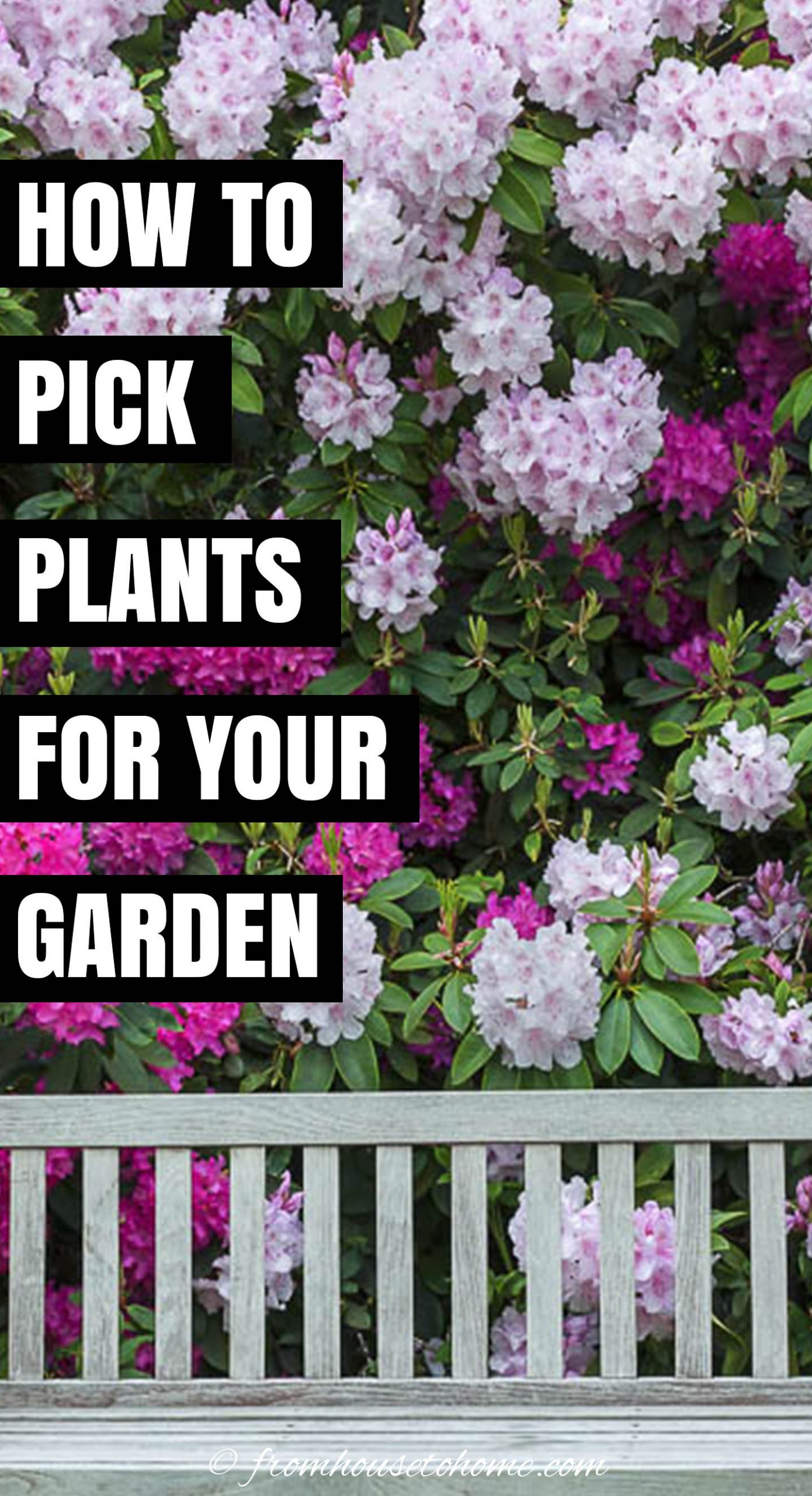 How To Choose The Best Plants For Your Garden