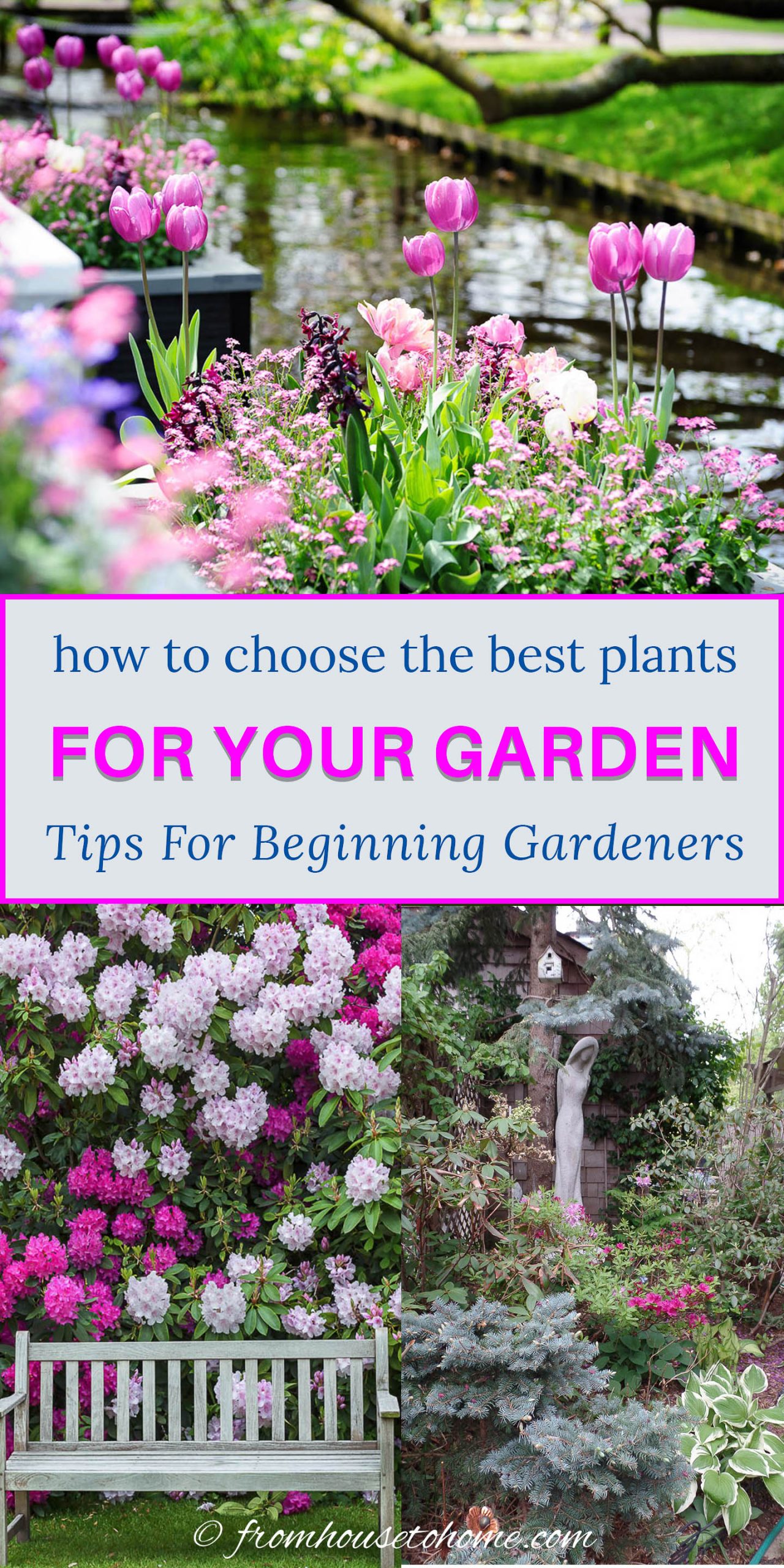 How To Choose The Best Plants For Your Garden