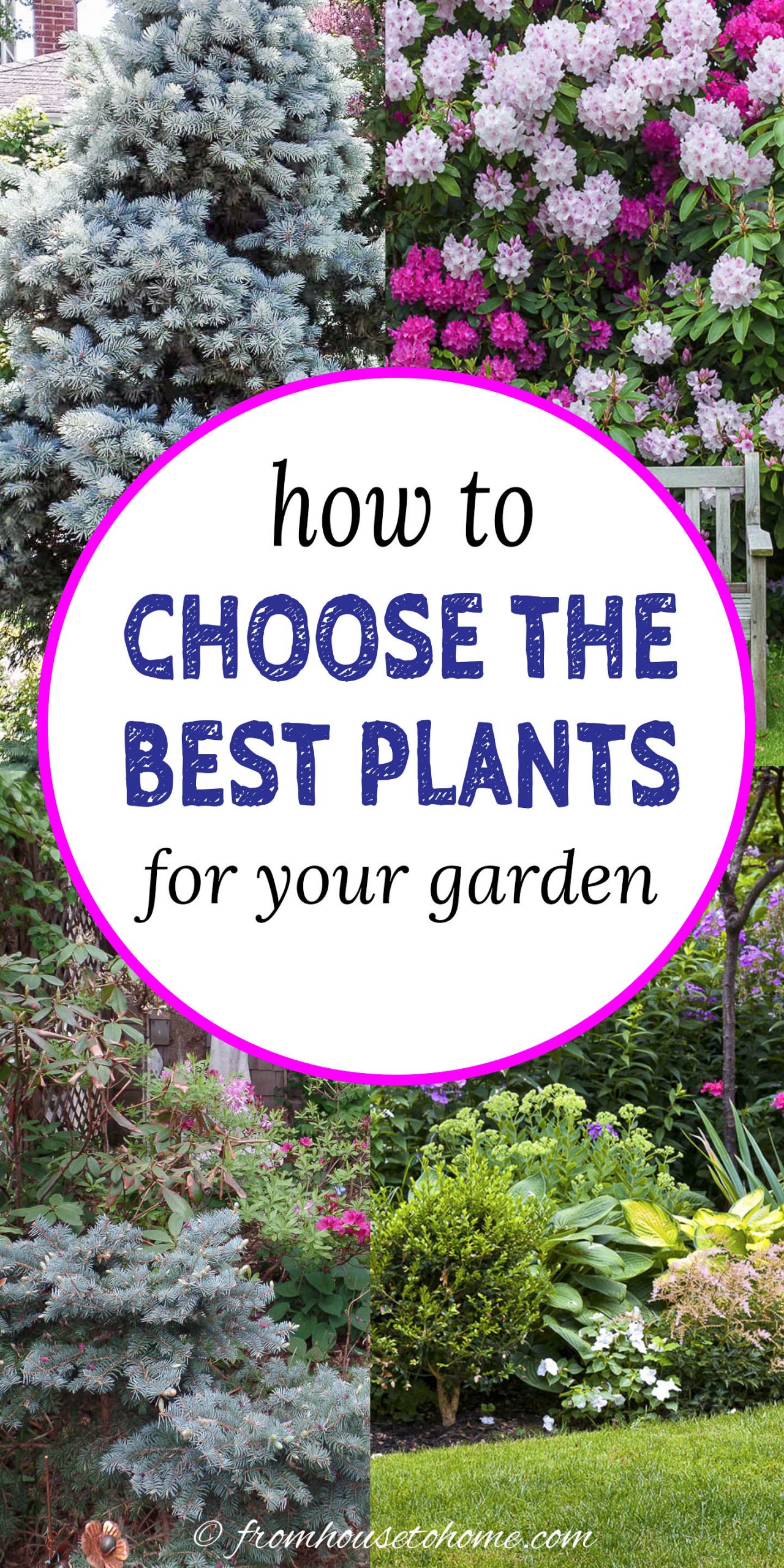 How To Choose The Best Plants For Your Garden