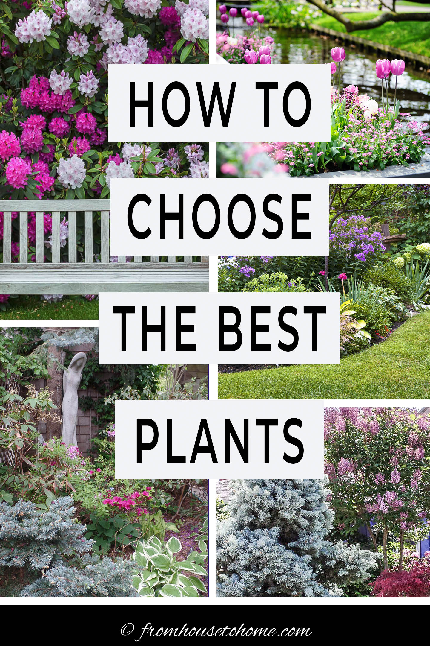 How To Choose The Best Plants For Your Garden