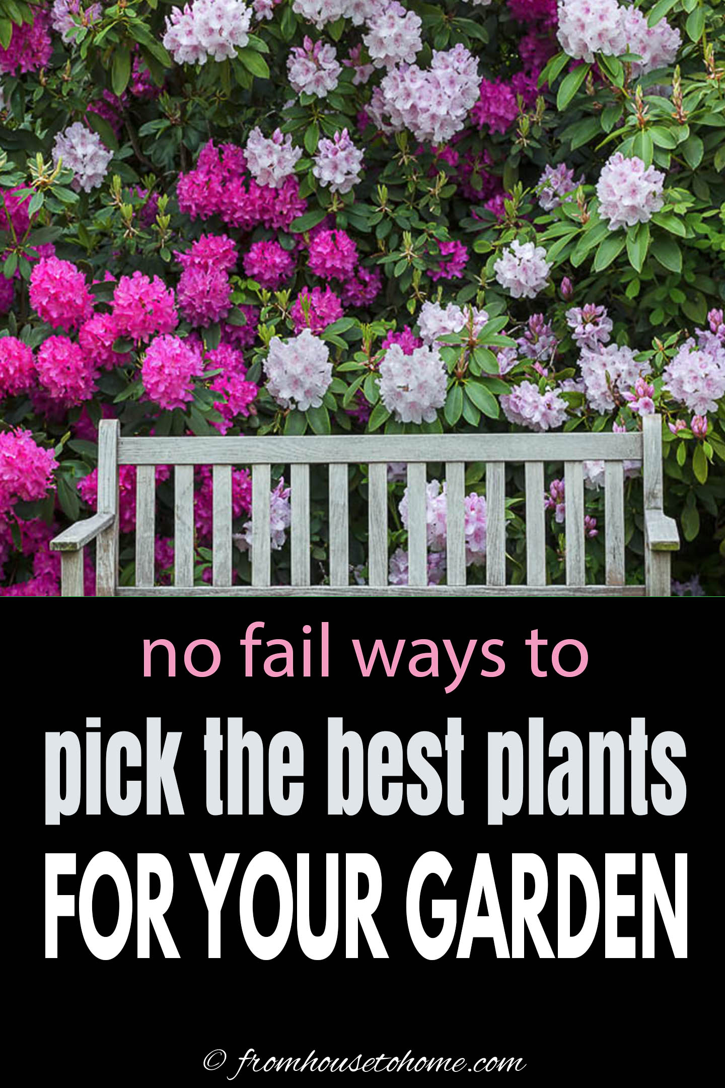 How To Choose The Best Plants For Your Garden
