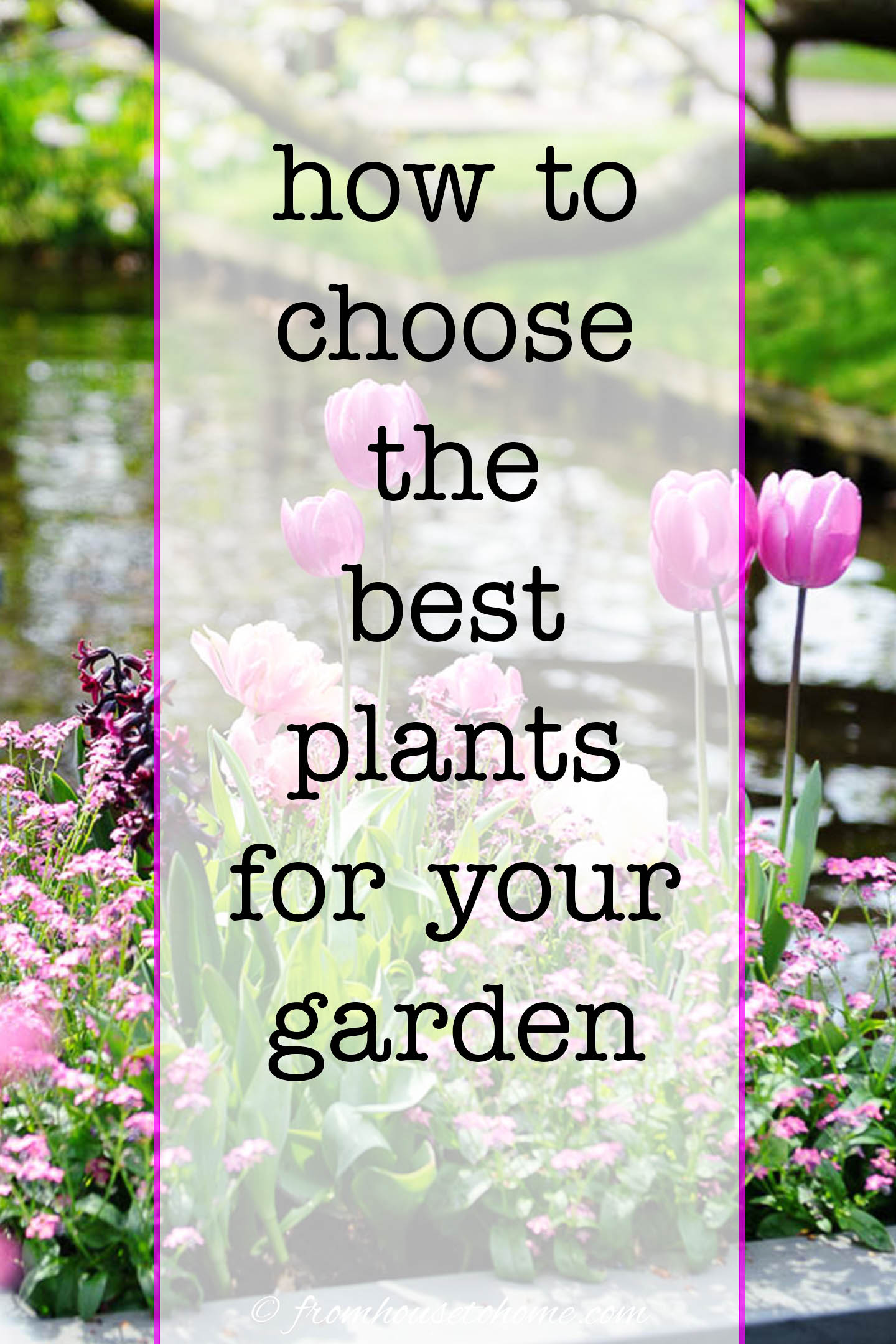 How To Choose The Best Plants For Your Garden