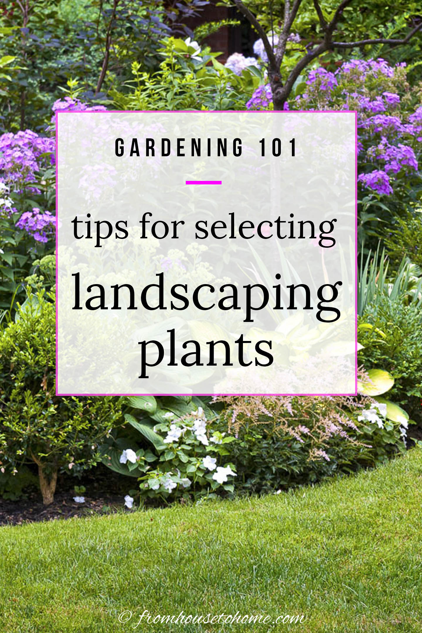 How To Choose The Best Plants For Your Garden