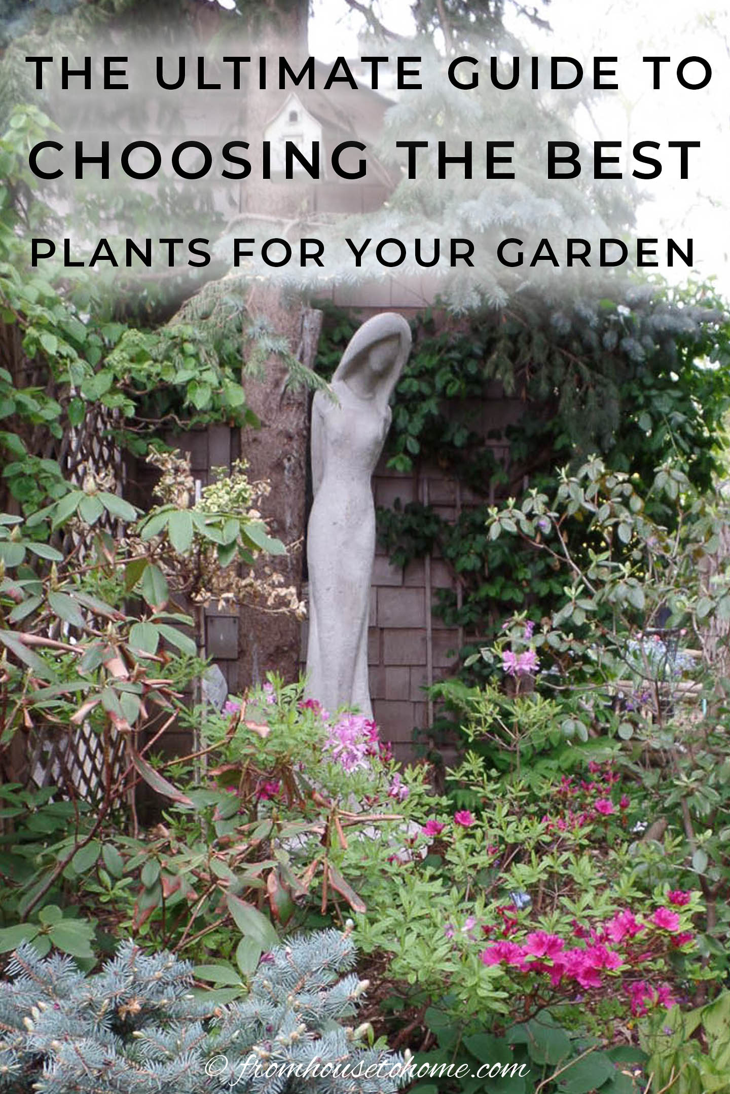 How To Choose The Best Plants For Your Garden