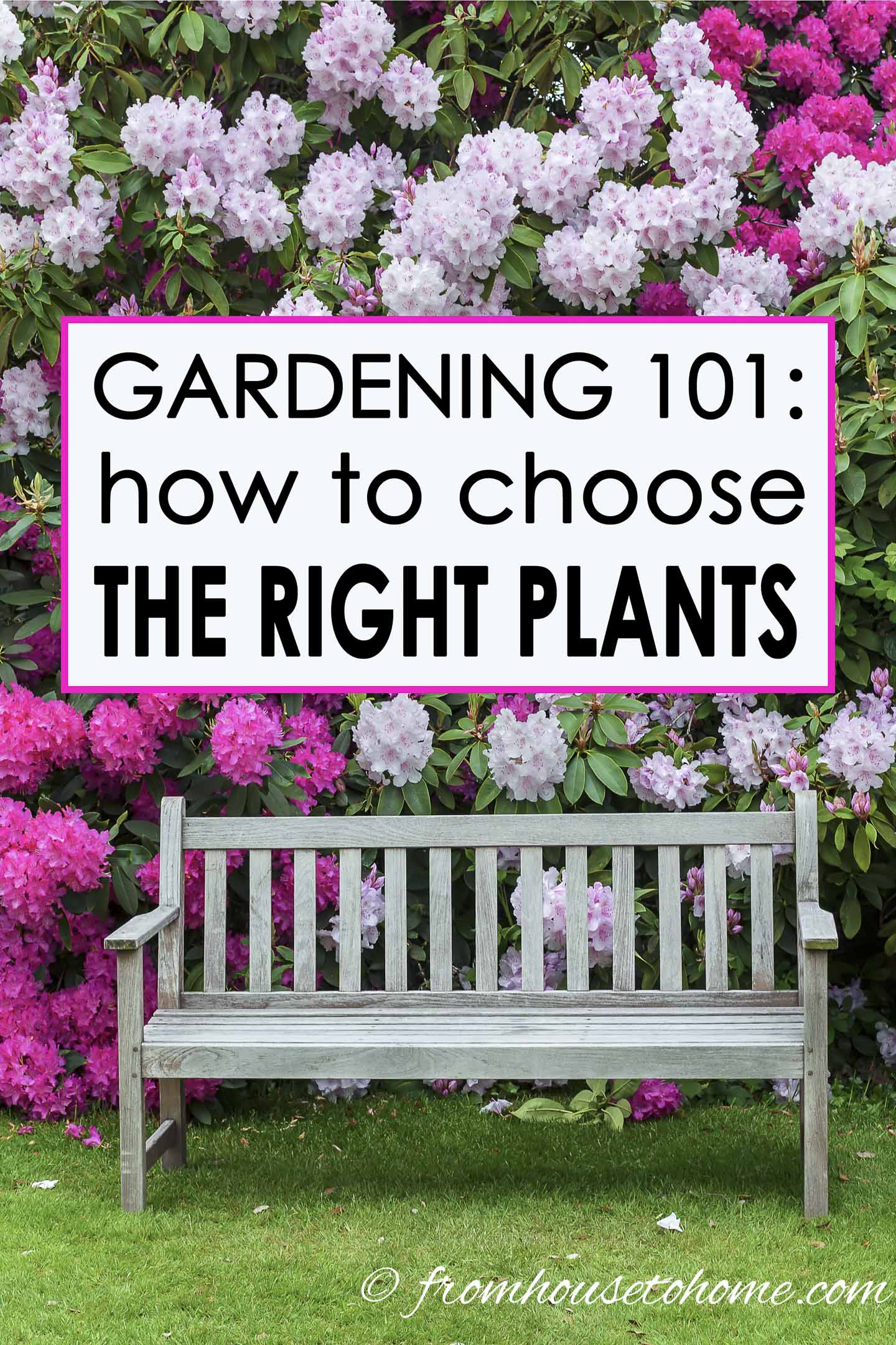 How To Choose The Best Plants For Your Garden