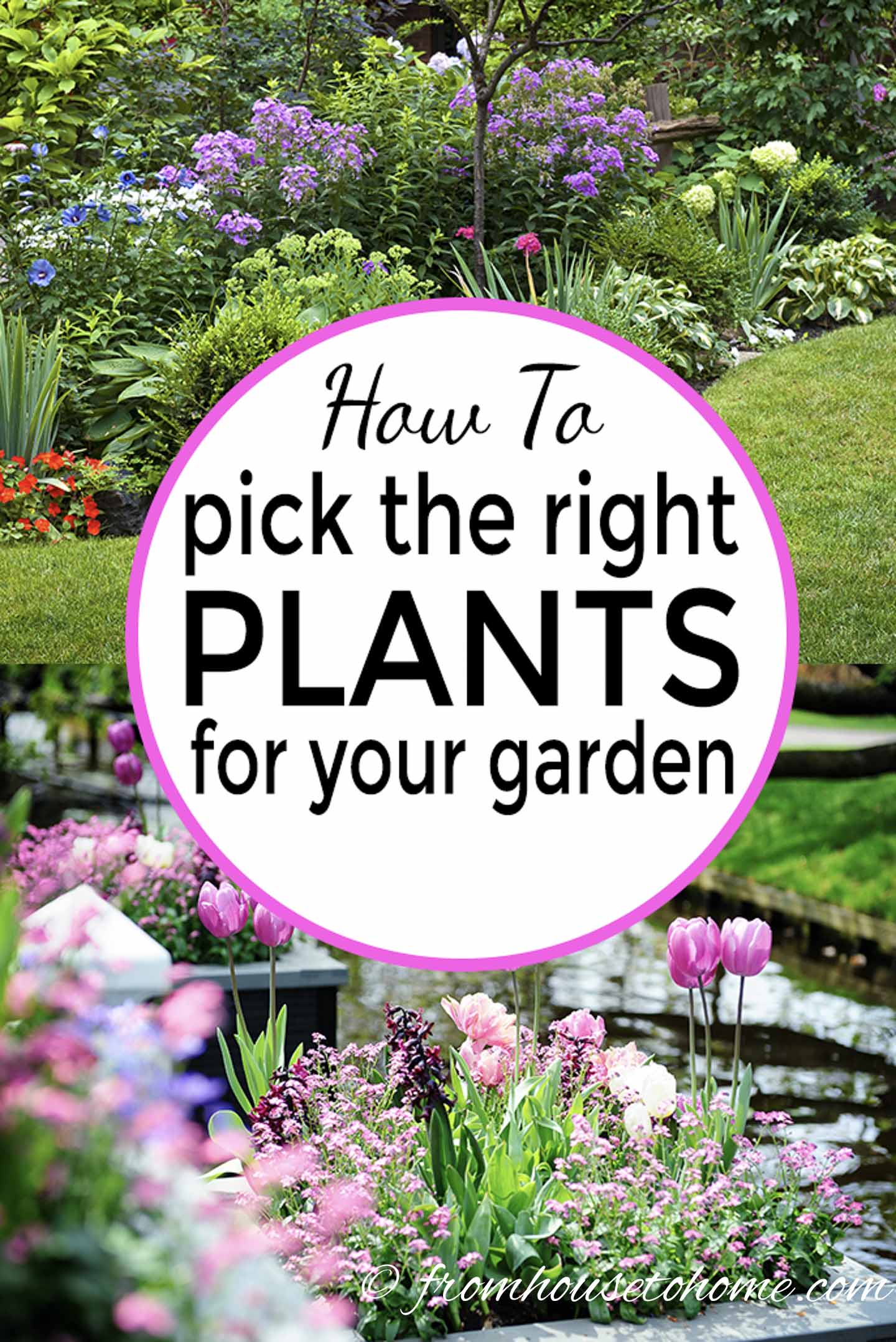 How To Choose The Best Plants For Your Garden