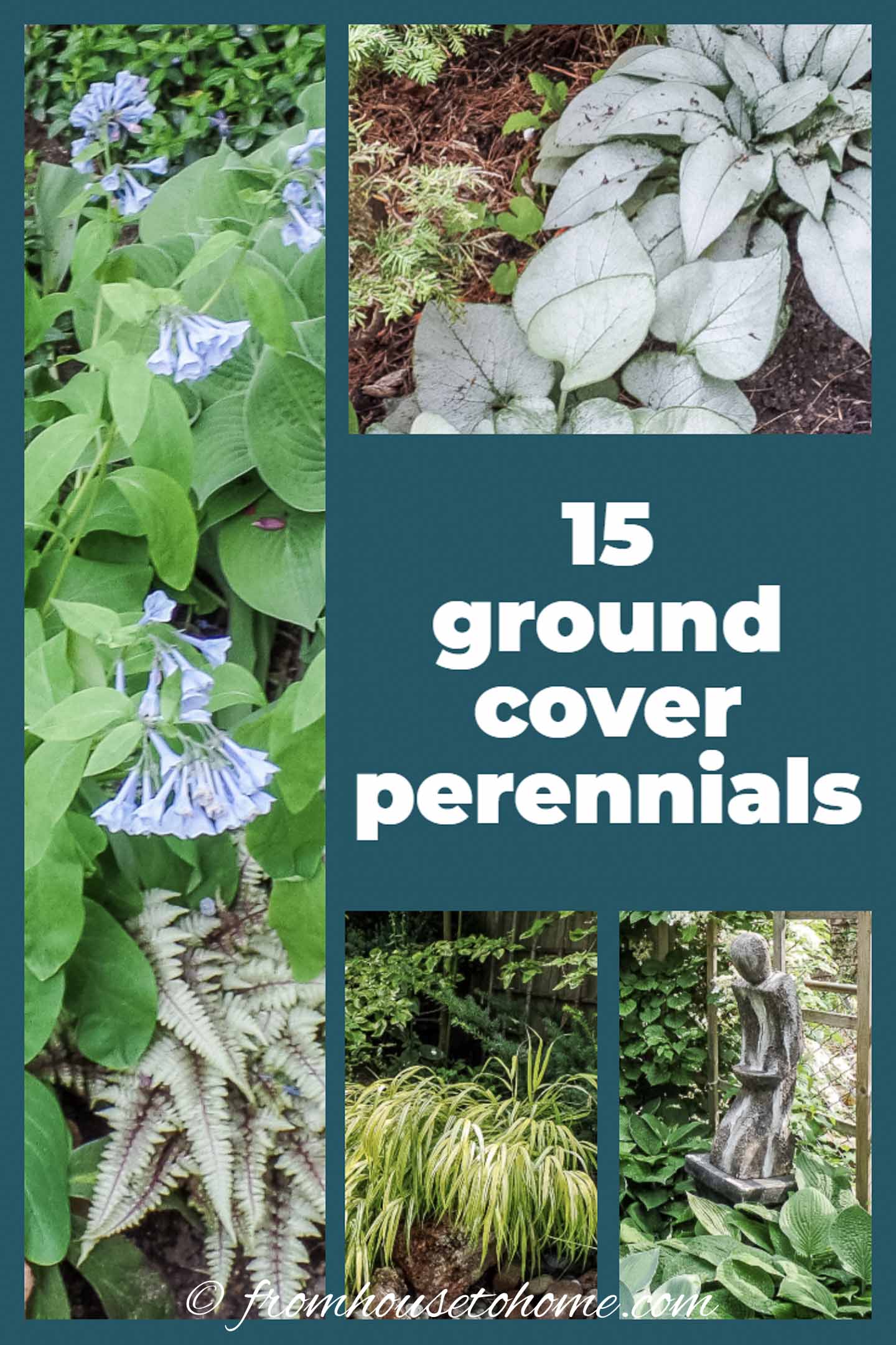 Ground Cover Plants For Shade (Perennials That Keep Weeds Down)