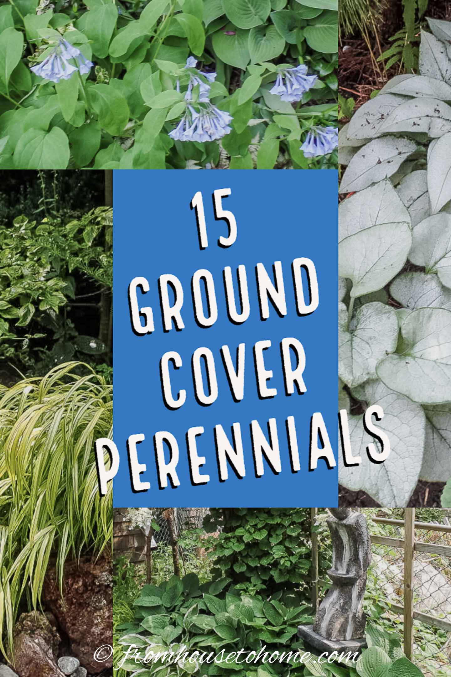 Ground Cover Plants For Shade (Perennials That Keep Weeds Down)