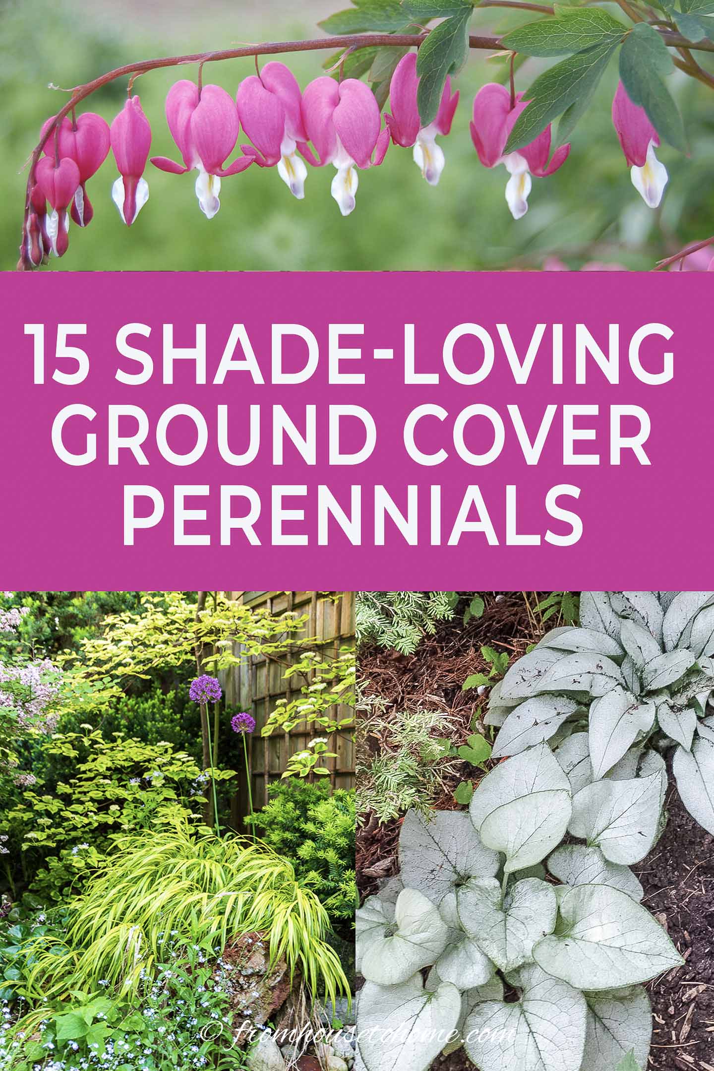 Ground Cover Plants For Shade (Perennials That Keep Weeds Down)