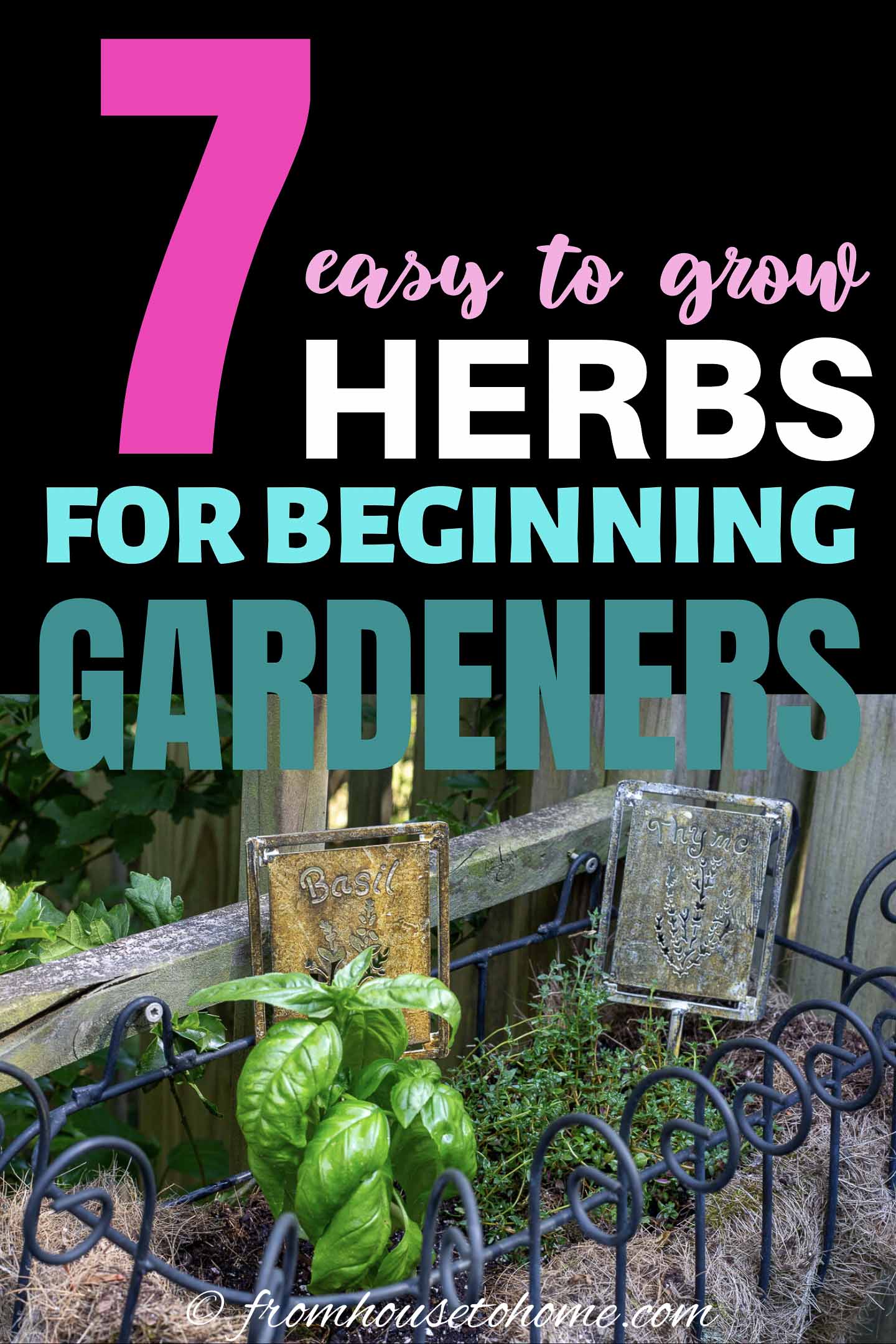 Easy To Grow Herbs (10 of the Best Herbs For Your Garden)
