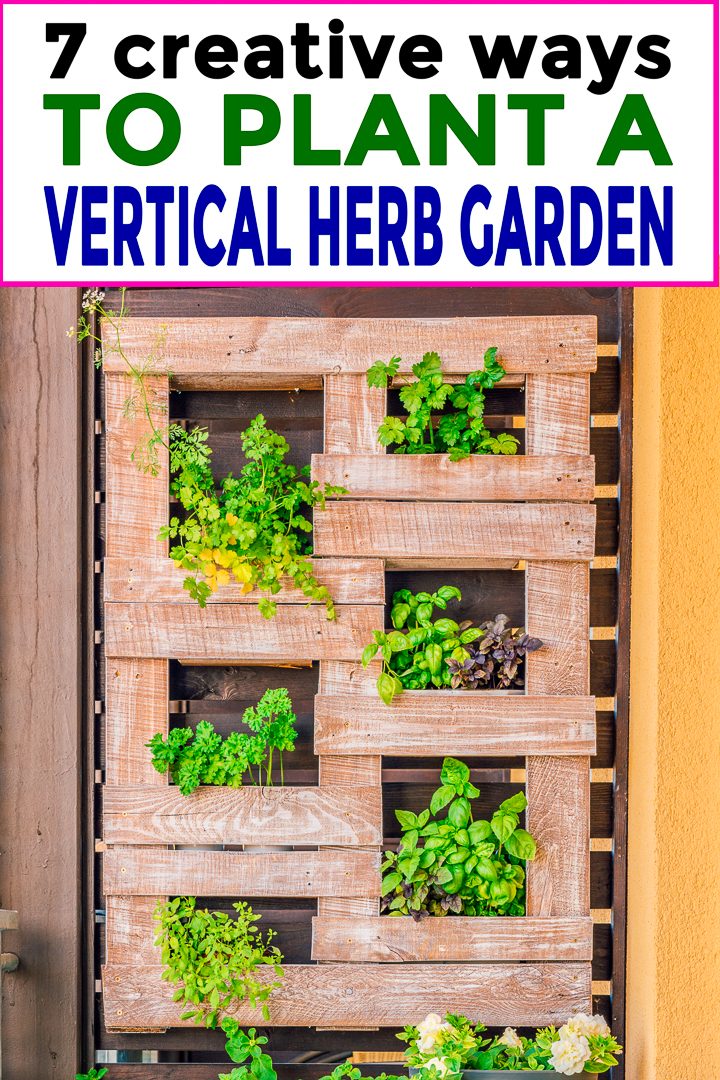 Vertical Herb Garden Ideas 7 Creative, Outdoor Hanging Herb Garden