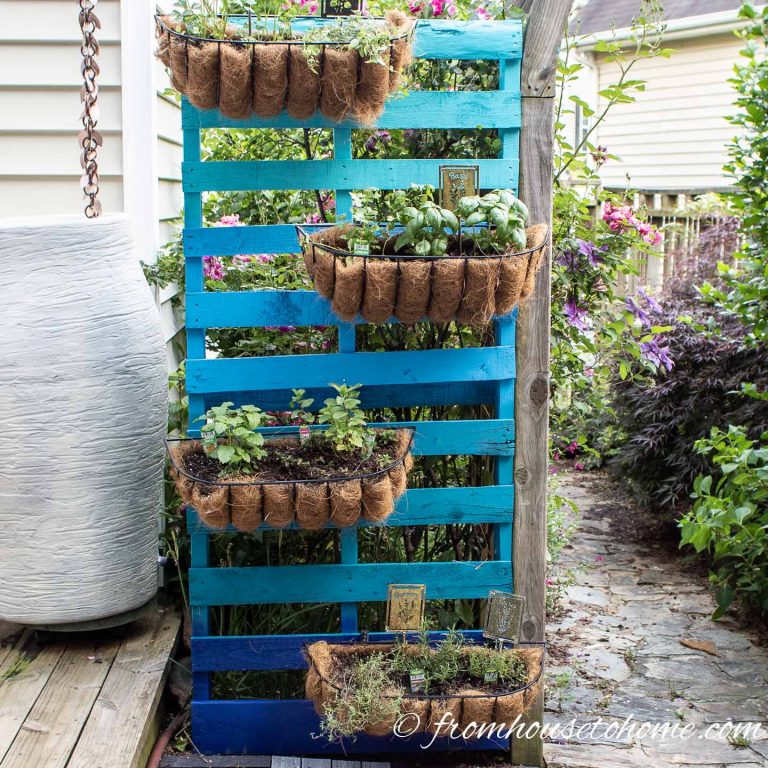 DIY vertical herb garden made with a pallet