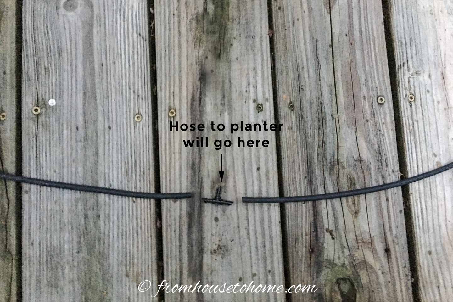 The container watering system hose split where the hose to an individual planter will go