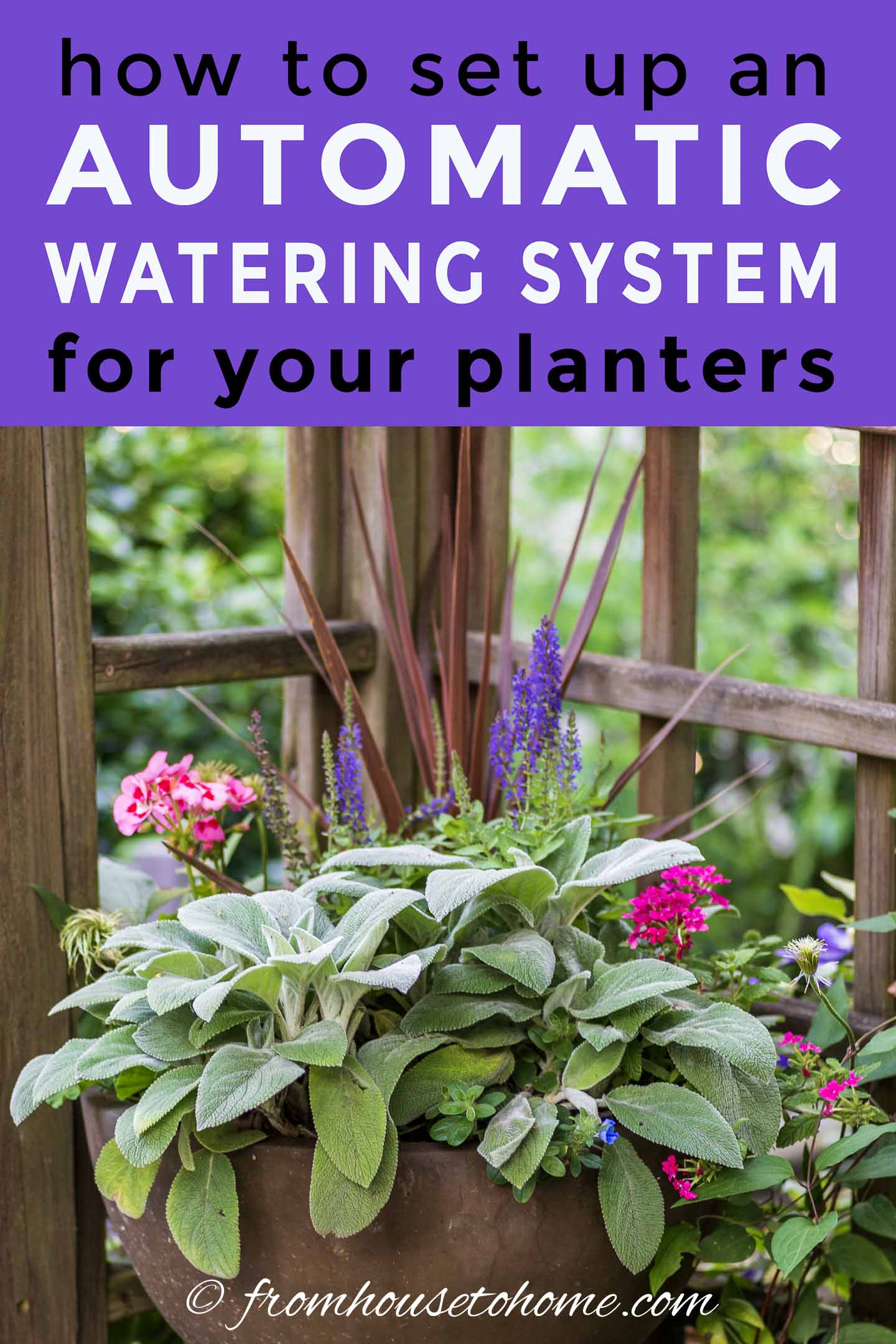 how to set up an automatic watering system for your planters