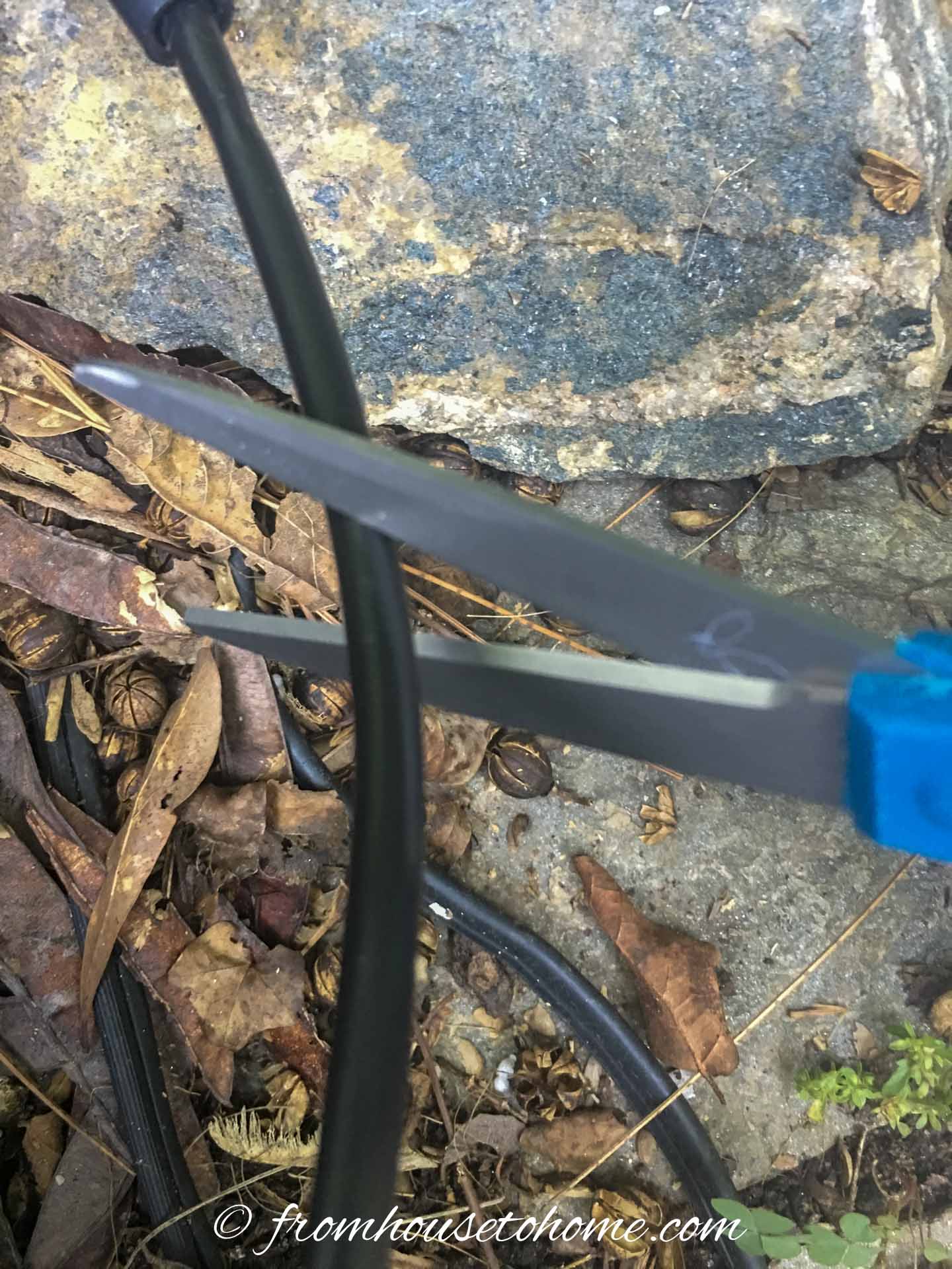 Watering system micro hose being cut with a pair of scissors